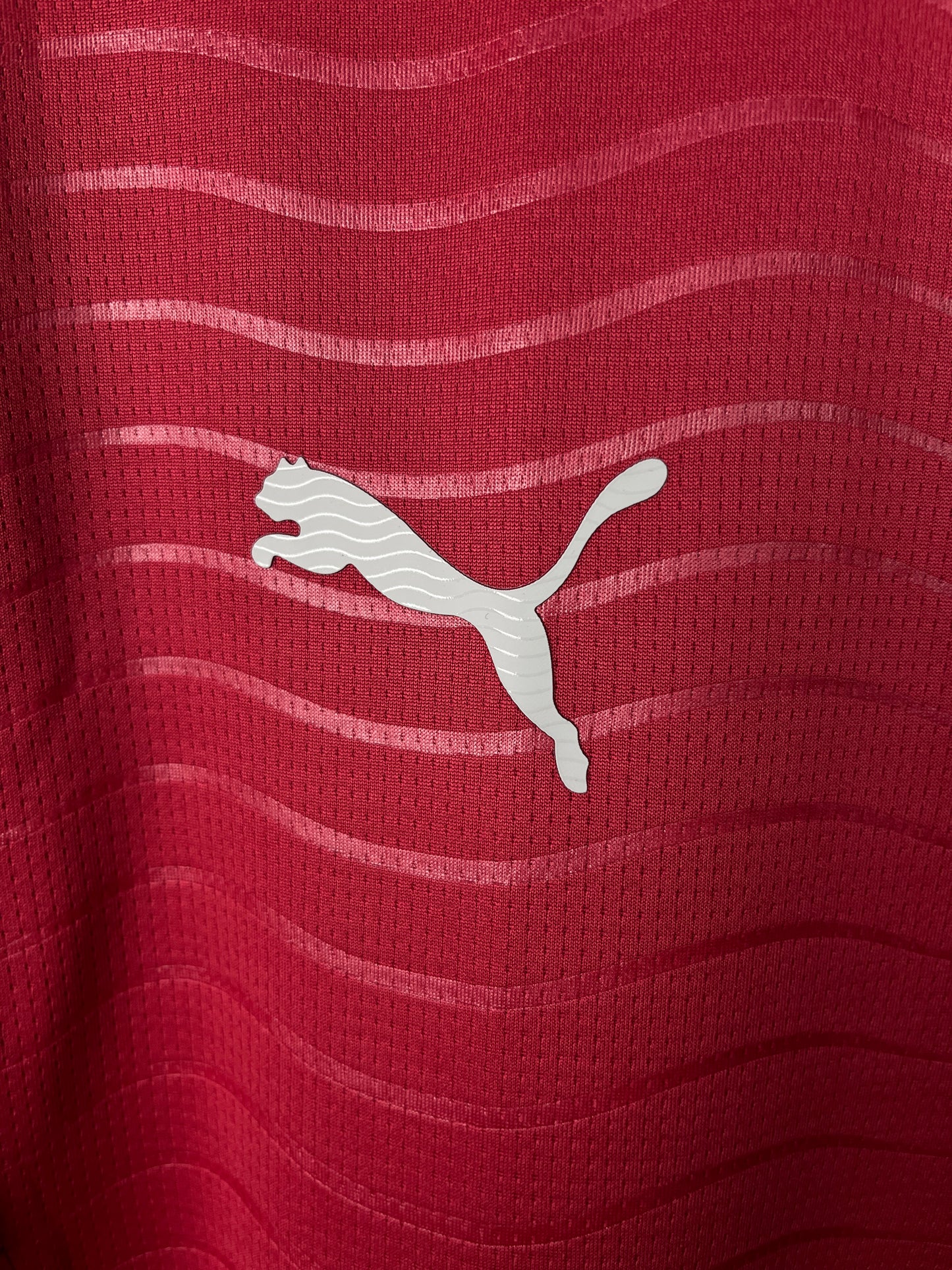 Portugal Home 2026 Fan Version Long Sleeves