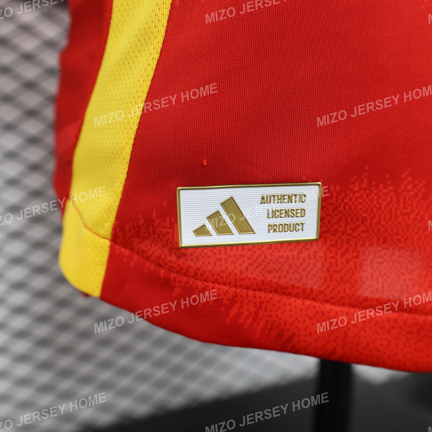 SPAIN Home 2024 Player Version