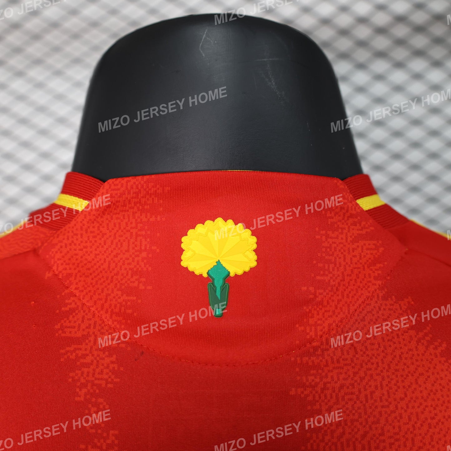 SPAIN Home 2024 Player Version