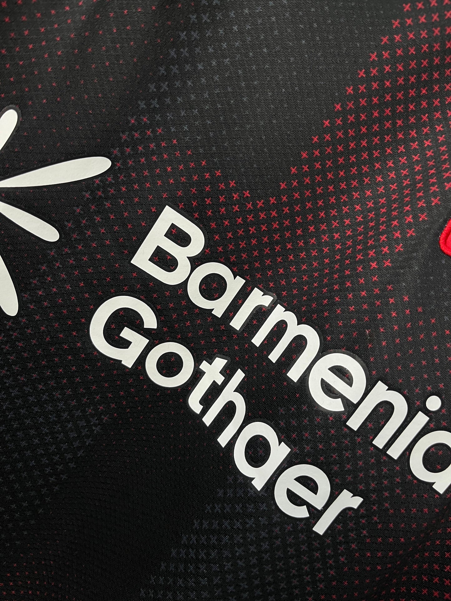 Bayer Leverkusen Home Jersey 25/26 Fan Version