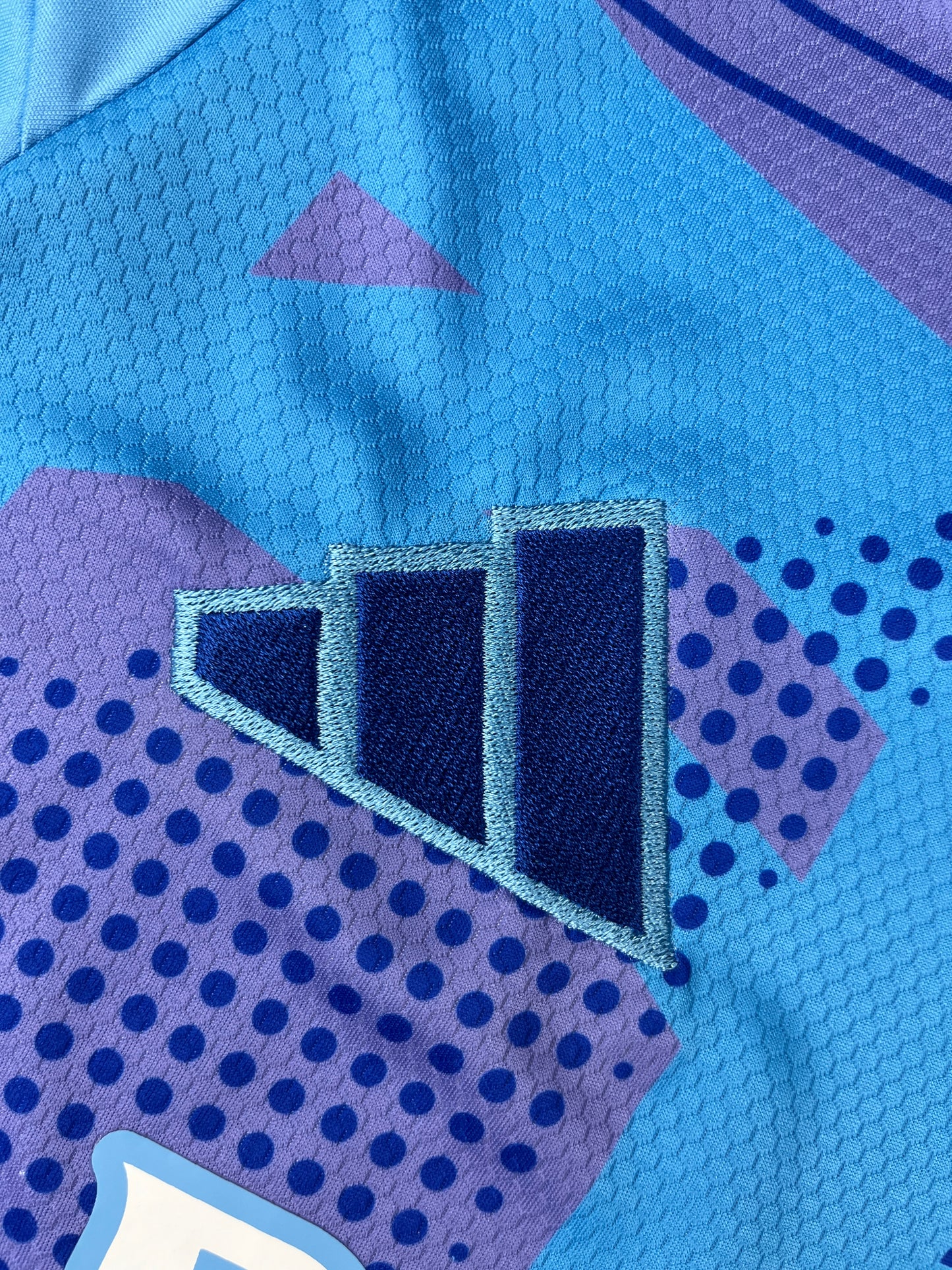 Real Madrid Goal Keeper 24-25 Fan Version