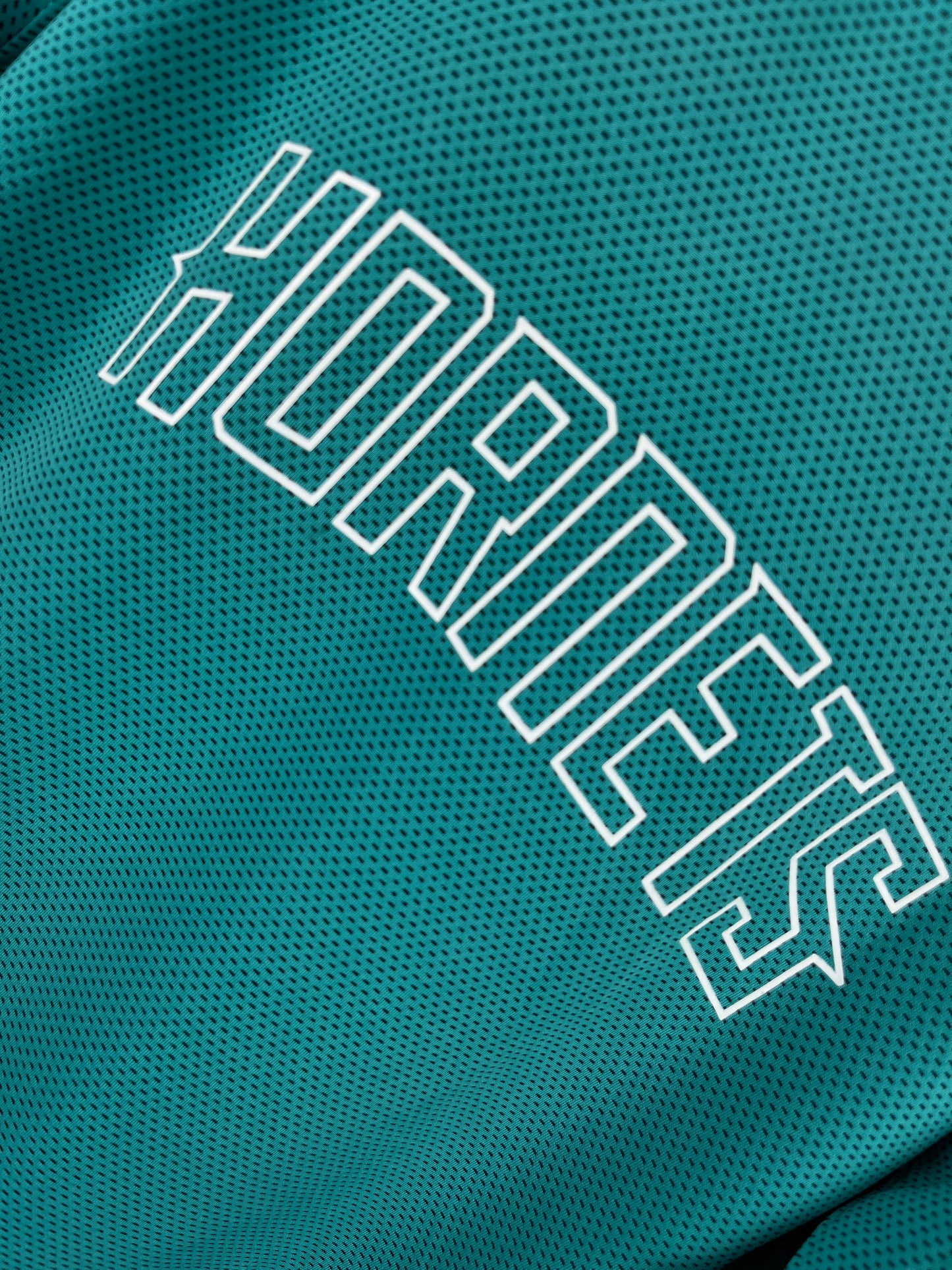 Charlotte Hornets Green NBA Hoodie