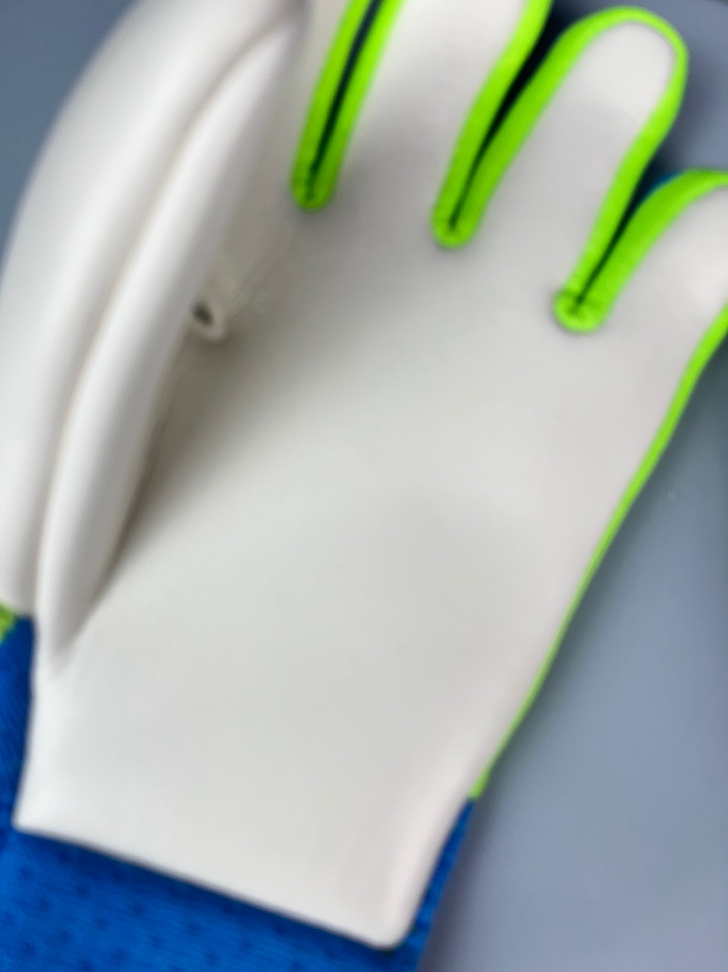 Adidas Predator Pro Ray Blue Goalkeeper Gloves