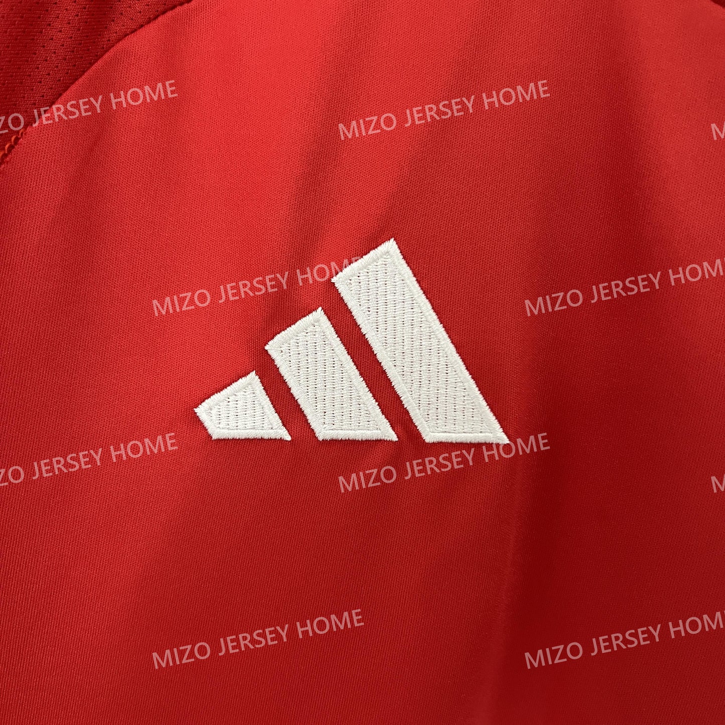 Manchester United Home Jersey 24/25 Fan Version