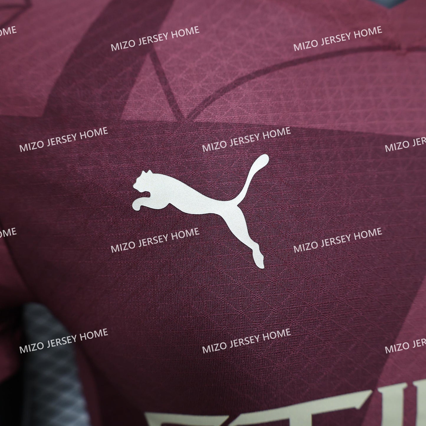 Manchester City Third Jersey 24/25 Player Version