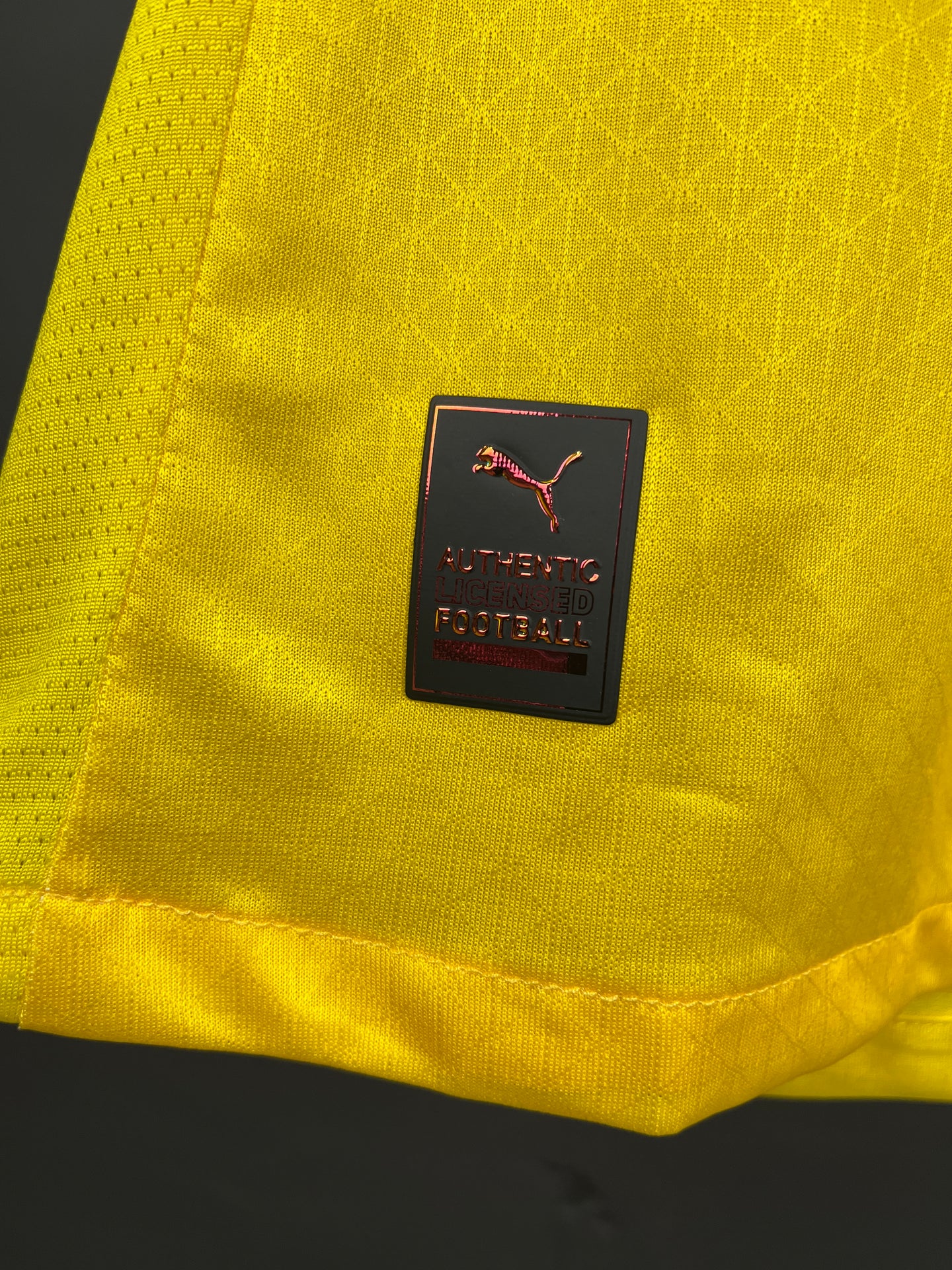 Borussia Dortmund Home 25/26 Jersey Player Version