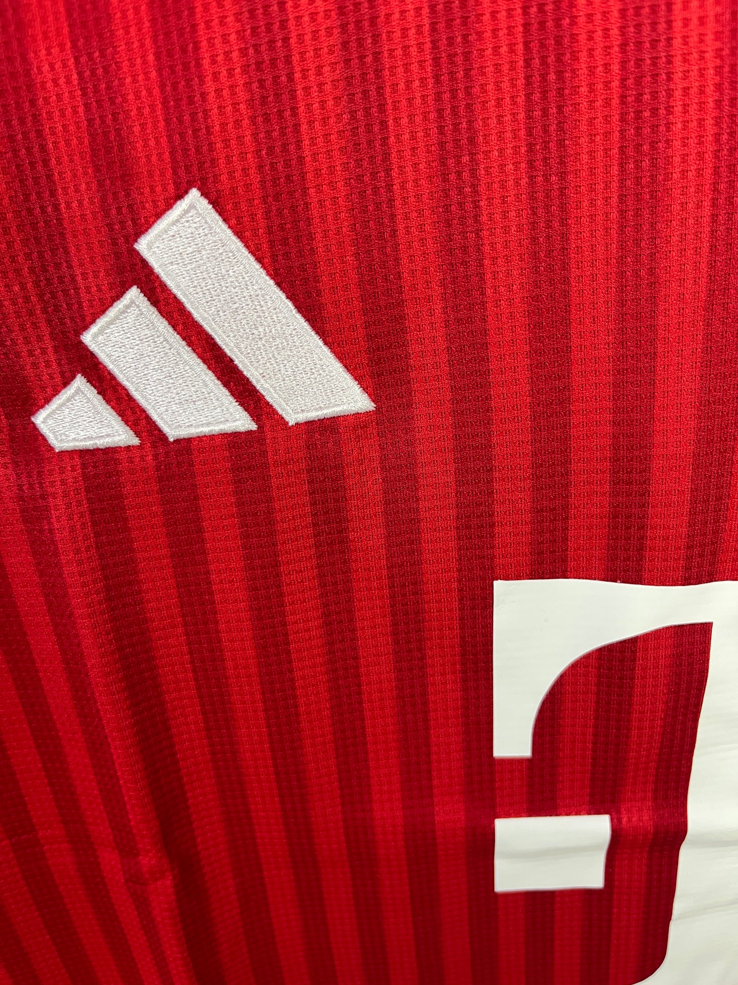 Bayern Munich Home Jersey 26/27 Fan Version