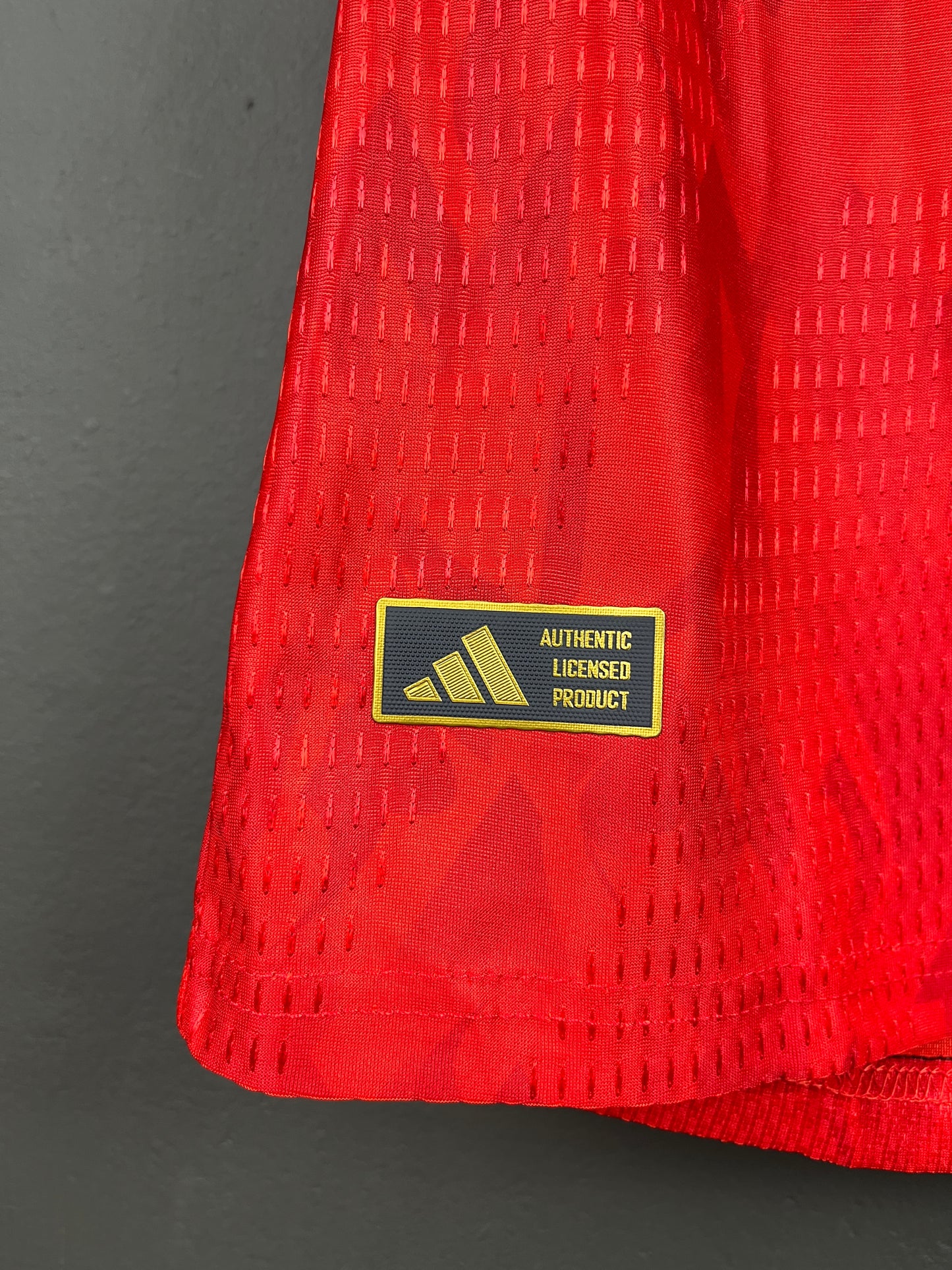Belgium Home Jersey 2026 Player Version