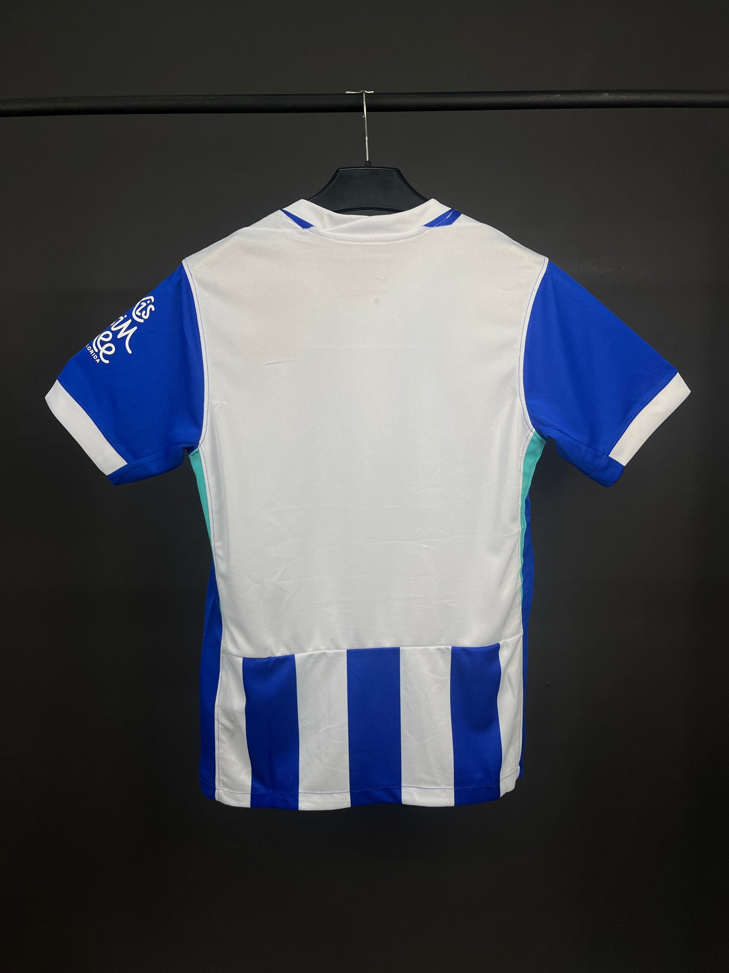 Brighton & Hove Albion 25/26 Home Jersey Fan Version
