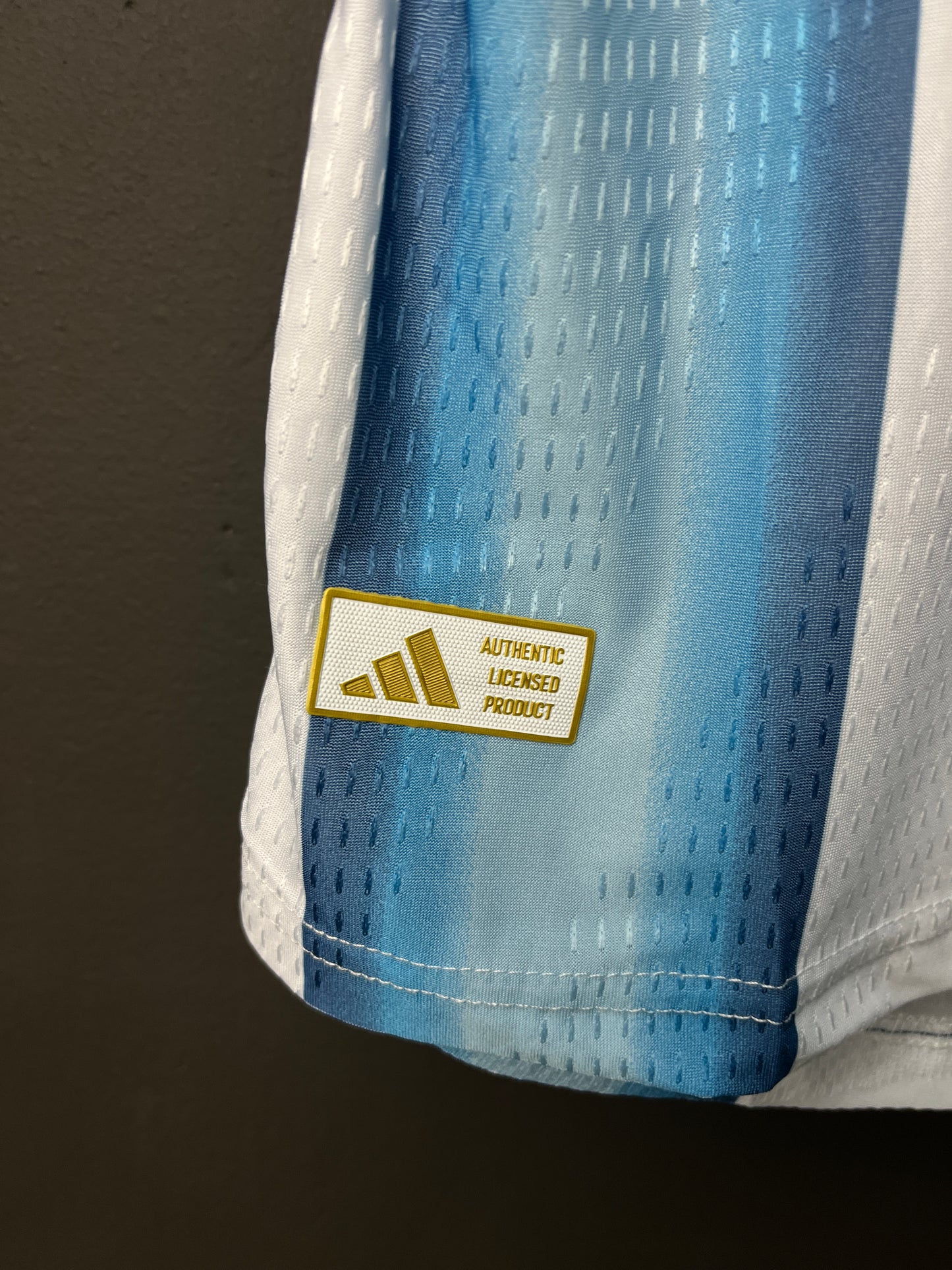 Argentina Home 2026 Player Version
