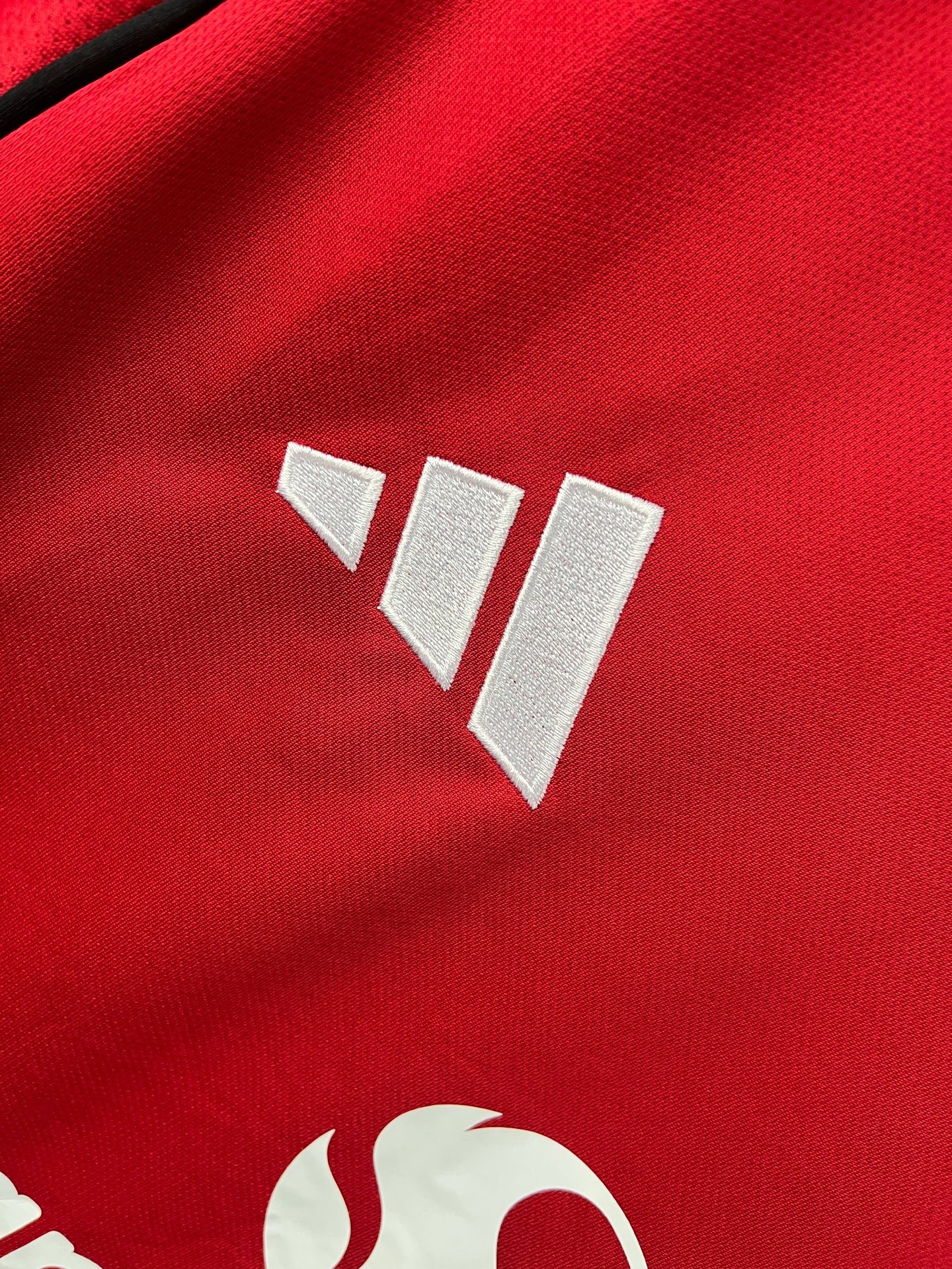 Manchester United Home Jersey 25/26 Fan Version