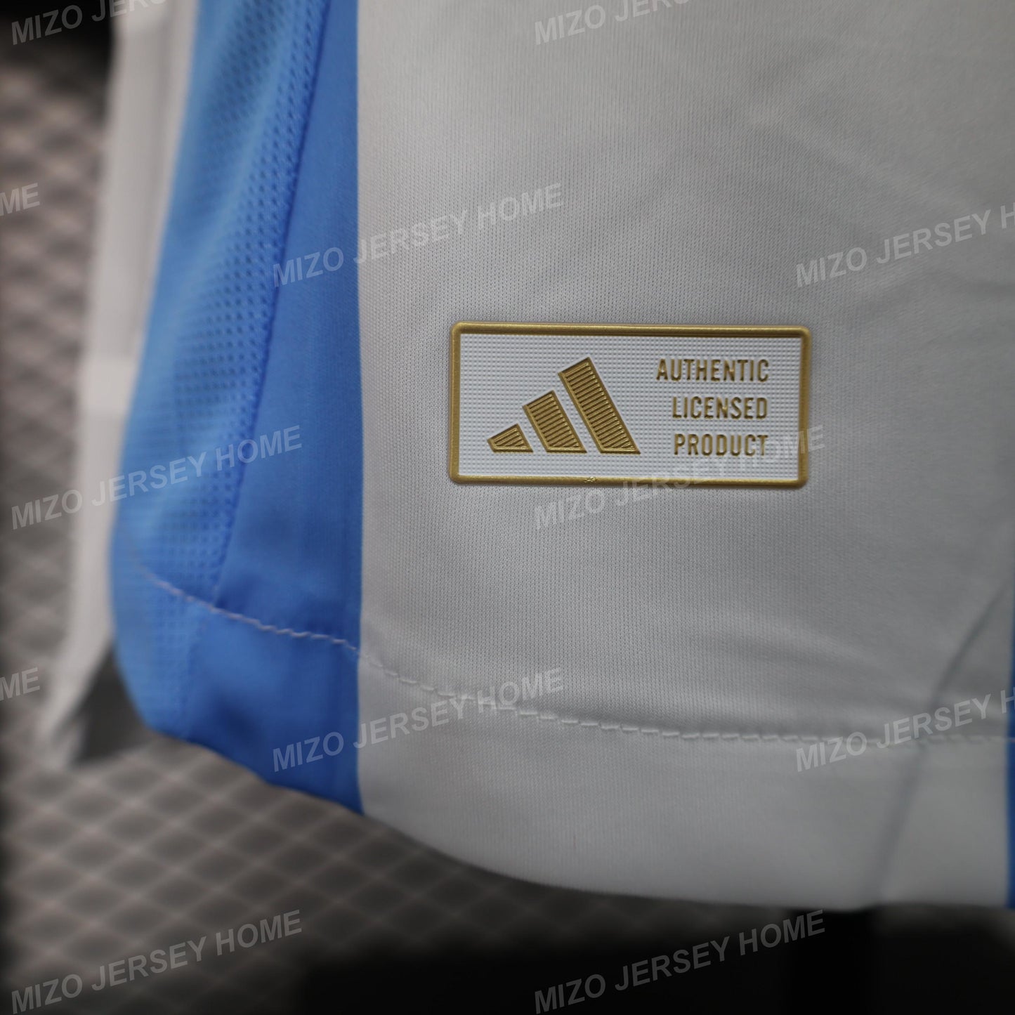 Argentina 2024 Home Jersey Player Version