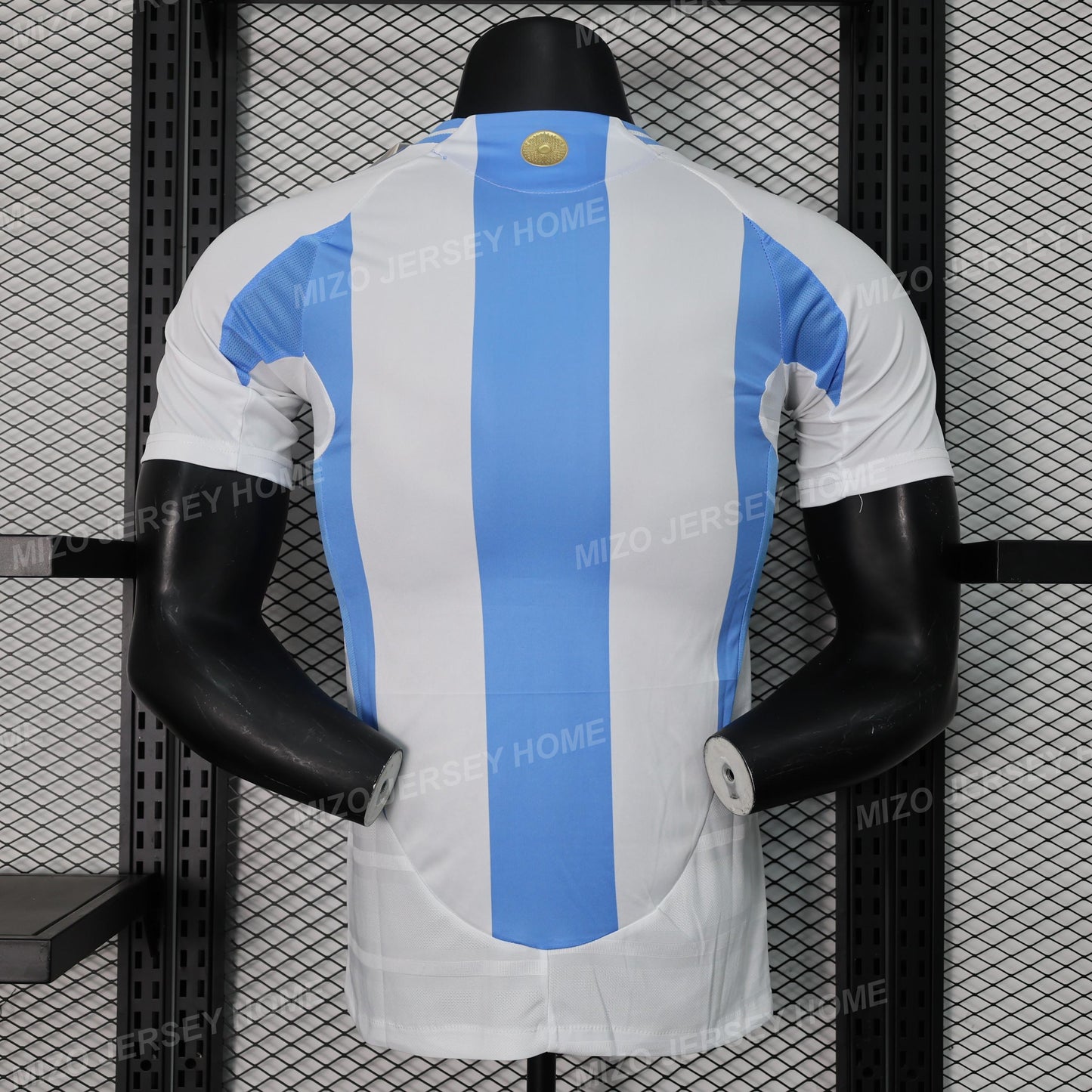 Argentina 2024 Home Jersey Player Version
