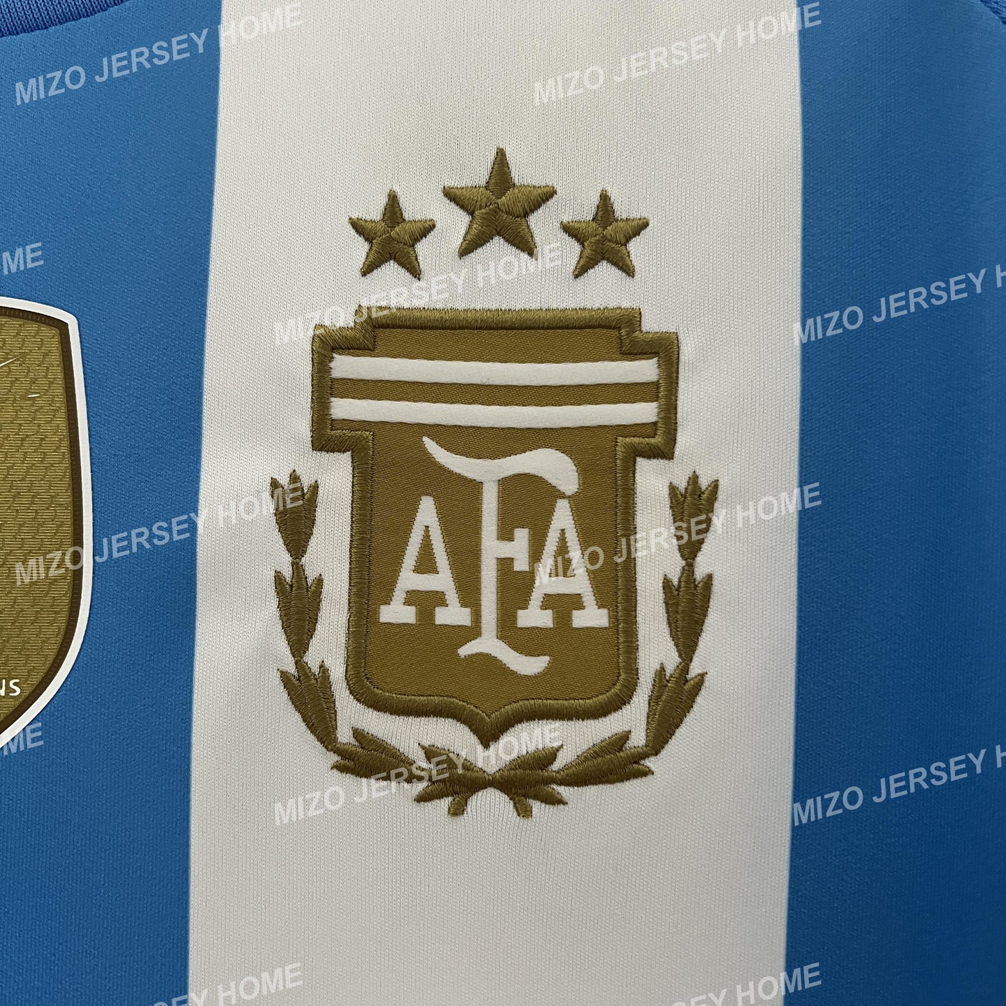 ARGENTINA Home 2024 Fan Version