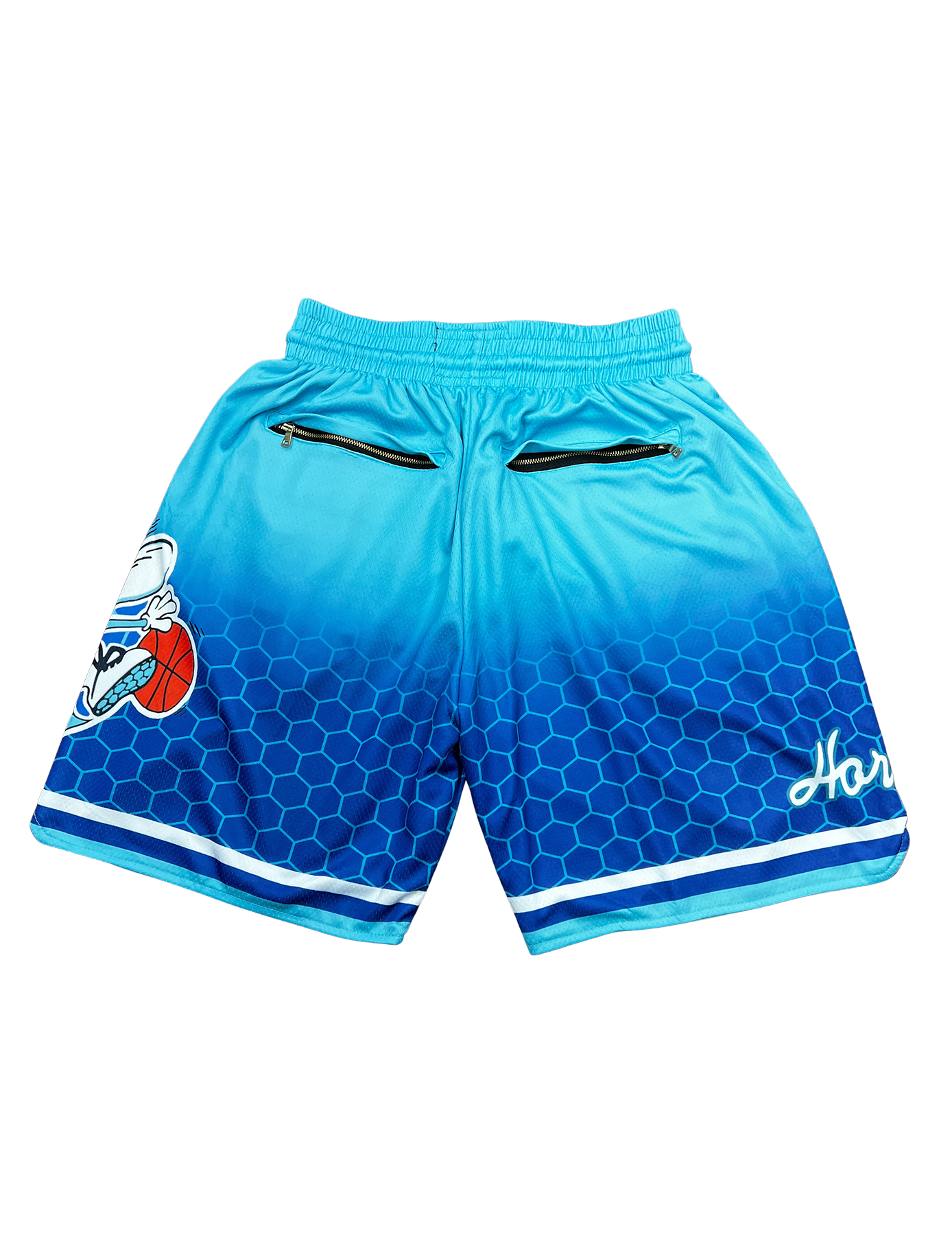 Charlotte Hornets Blue Shorts Full Embroidery