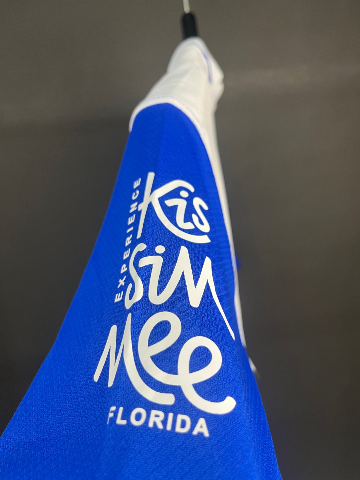 Brighton & Hove Albion 25/26 Home Jersey Fan Version