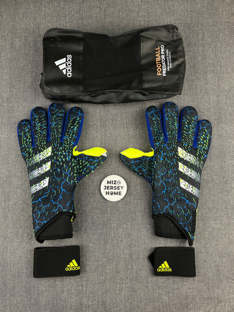 Adidas Predator Blue Gloves