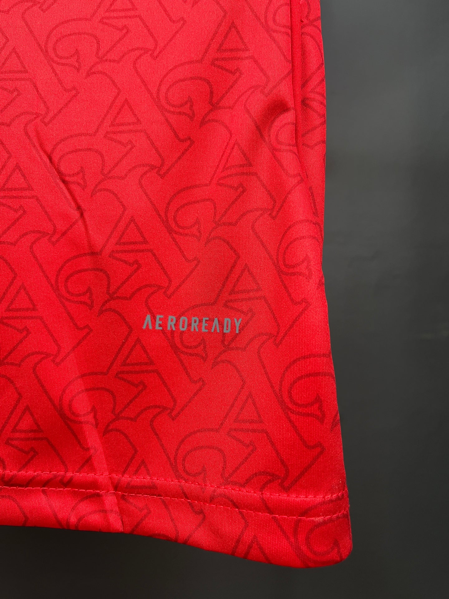 Arsenal Home Jersey 25/26 Fan Version