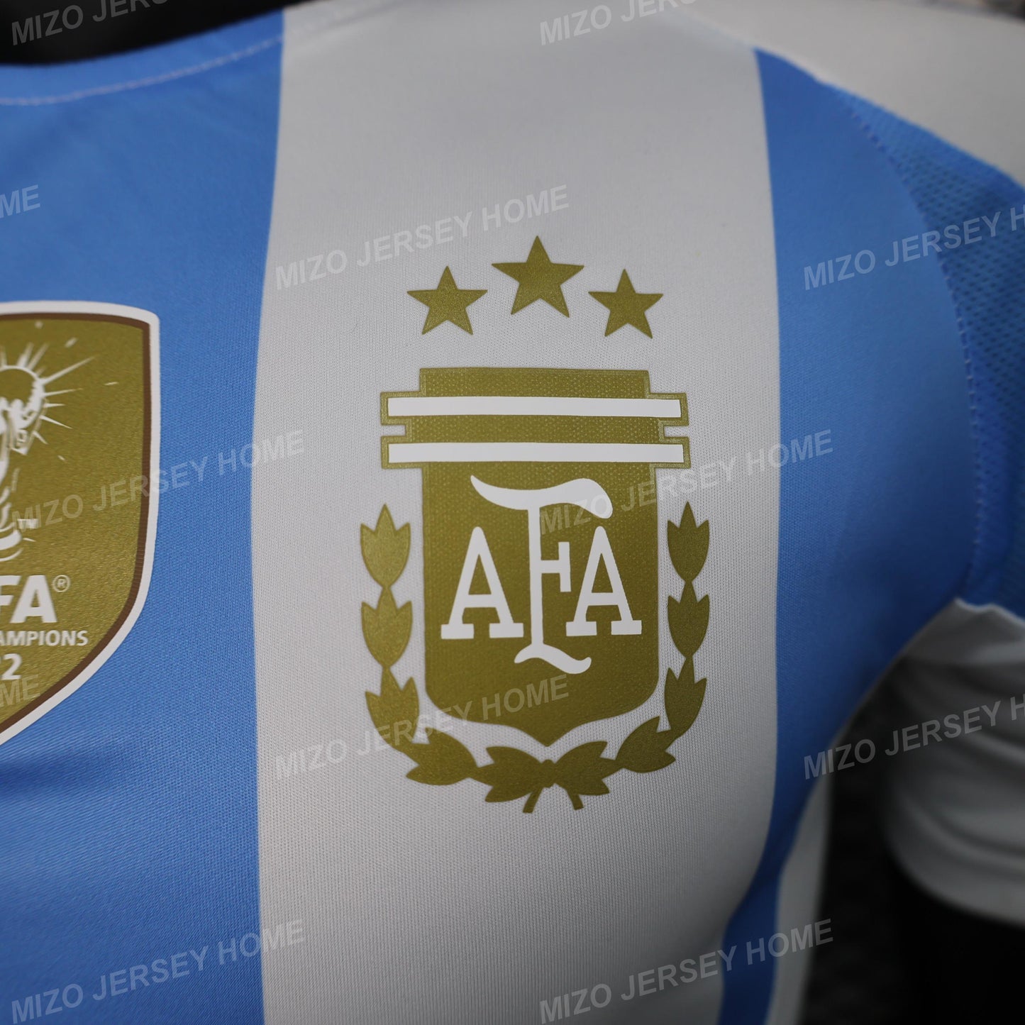 Argentina 2024 Home Jersey Player Version