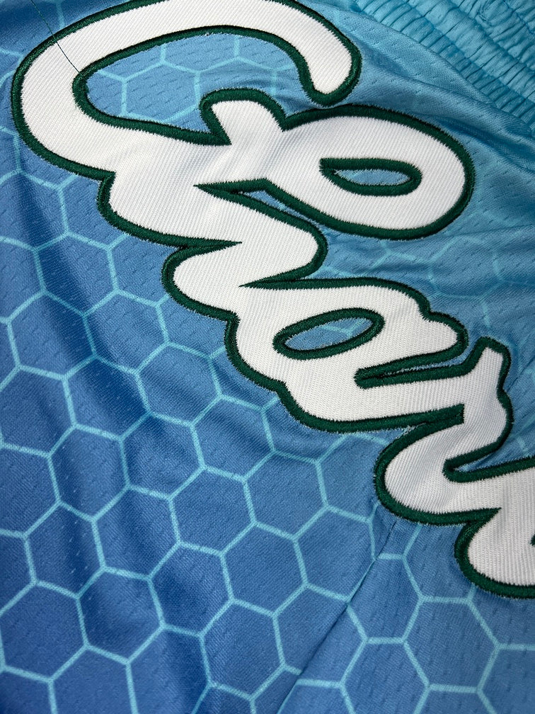 Charlotte Hornets Blue Shorts Full Embroidery
