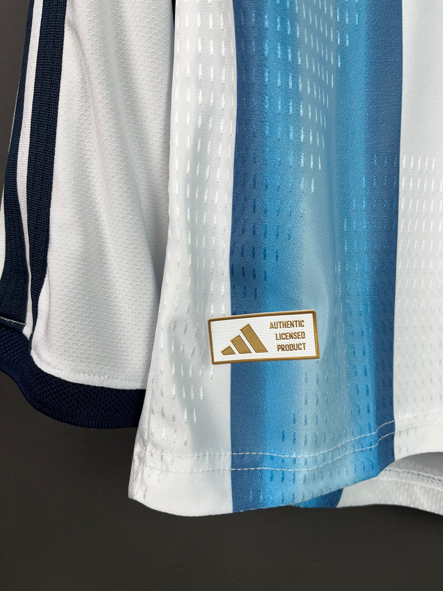 Argentina Home 2026 Long Sleeves Player Version