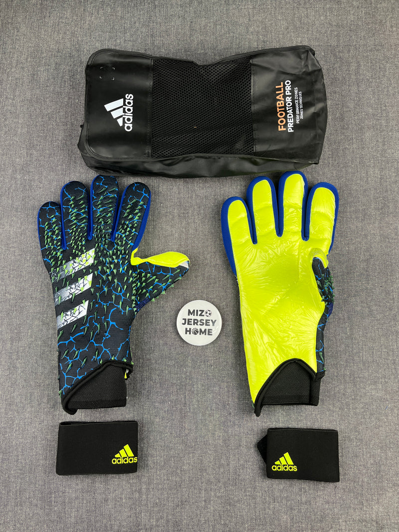 Adidas Predator Blue Gloves