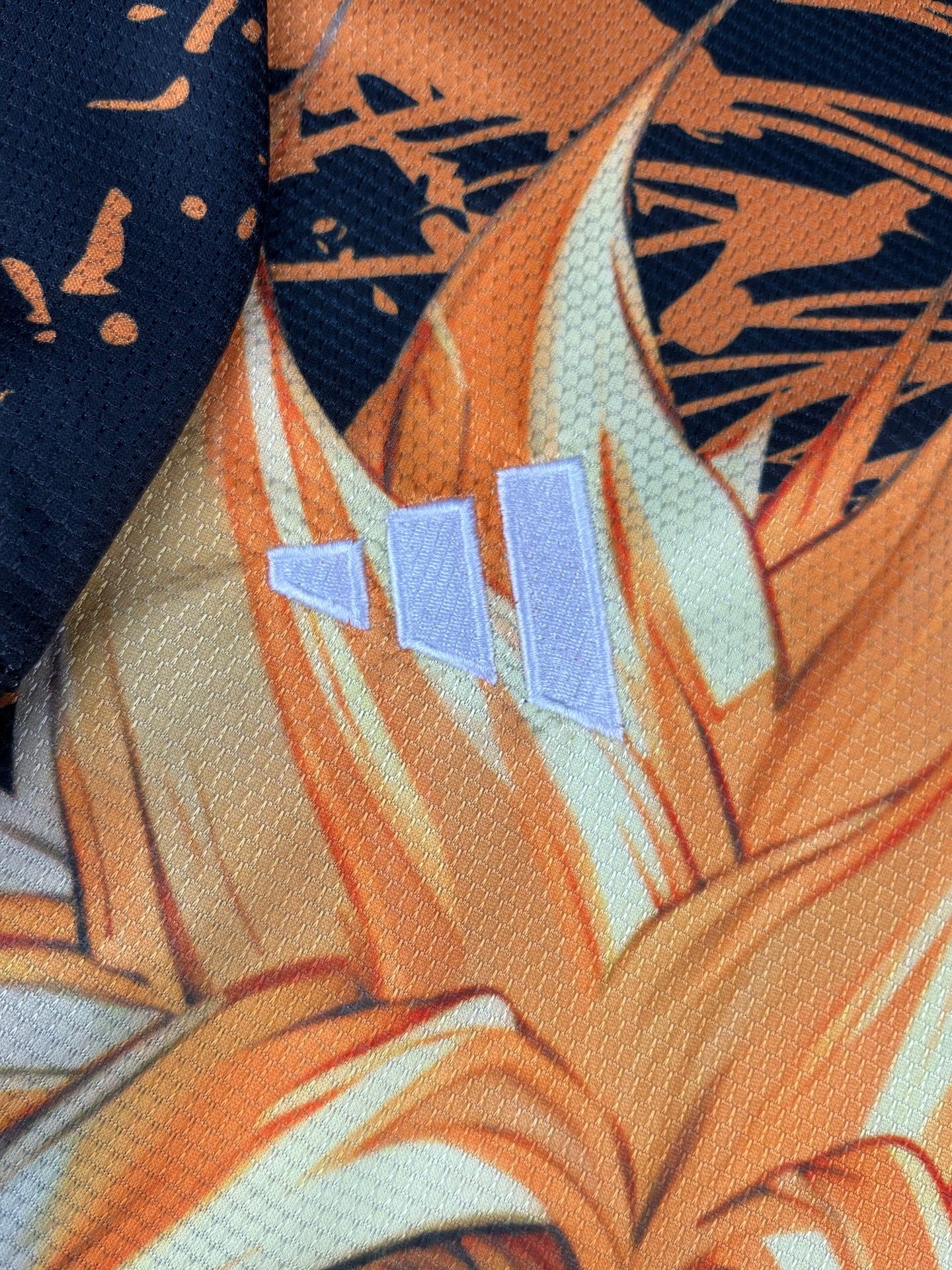 Japan Super Saiyan Goku Fan Version