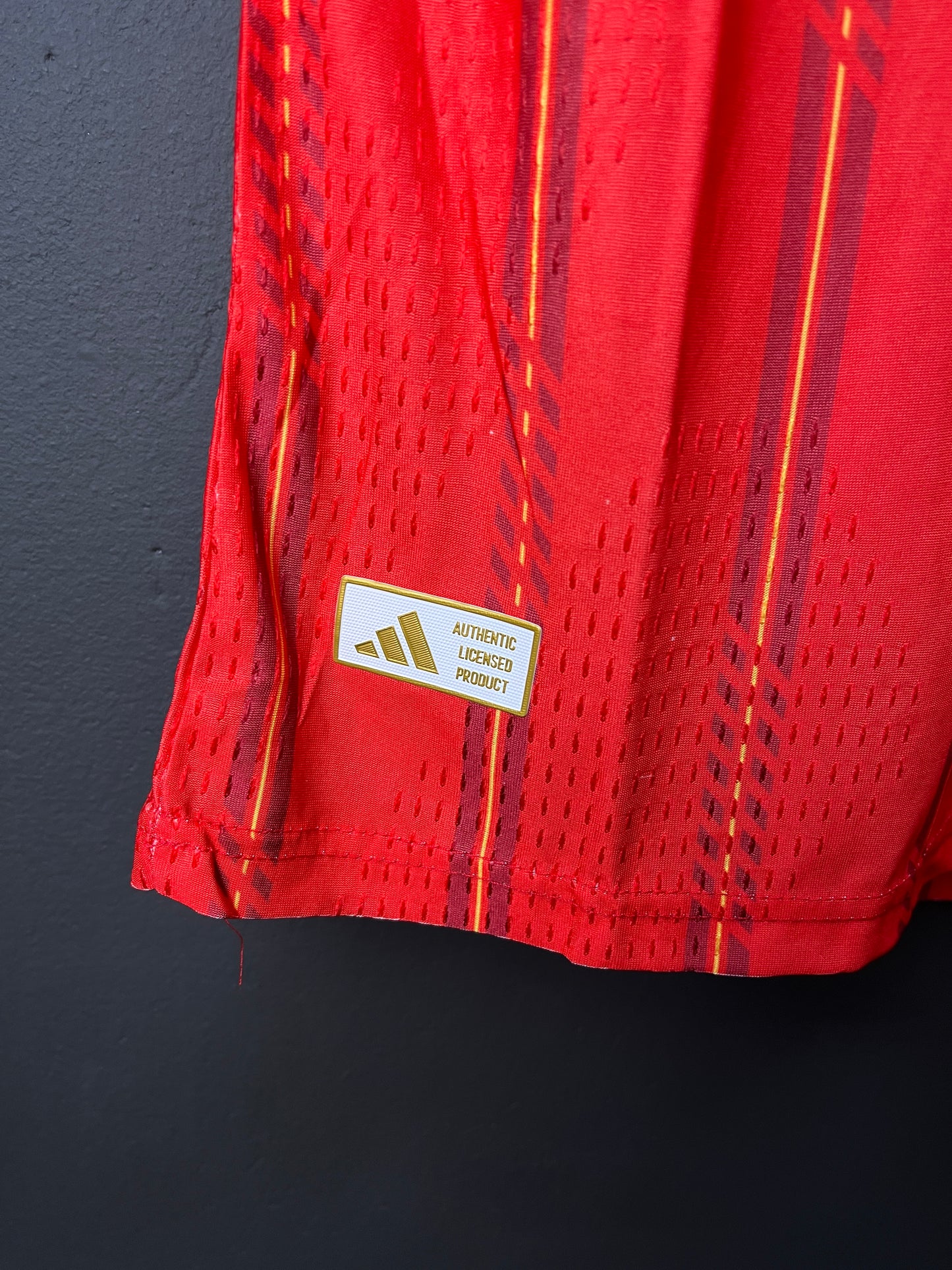 SPAIN Home Jersey 2026 Player Version