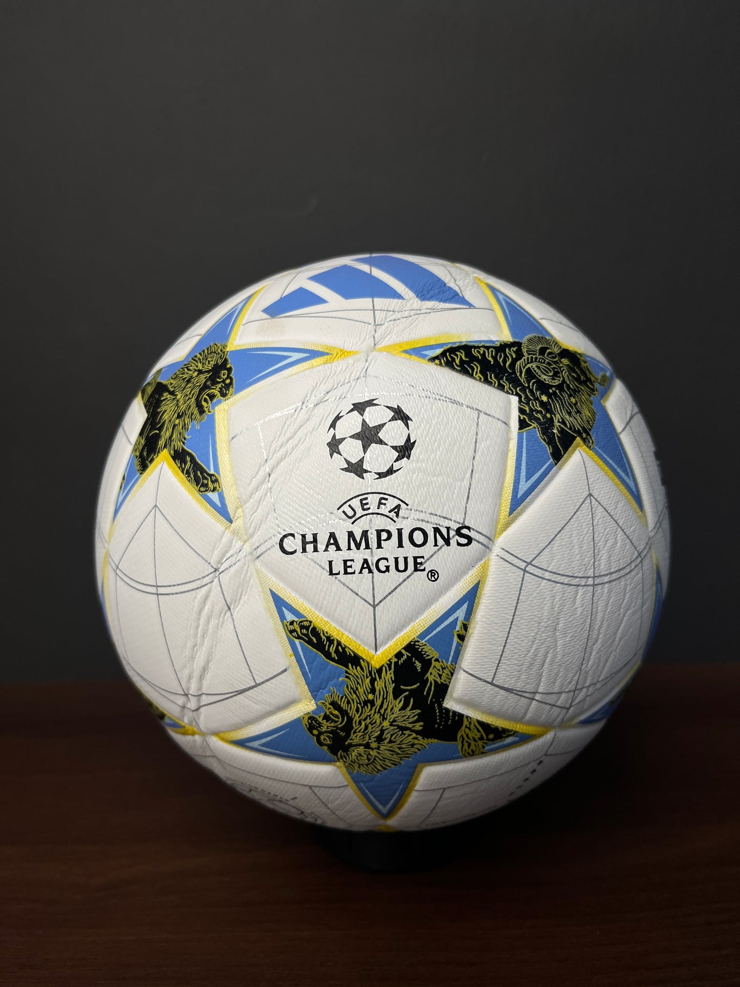 ADIDAS Champions League 25/26 Official Match Ball (Size 5)
