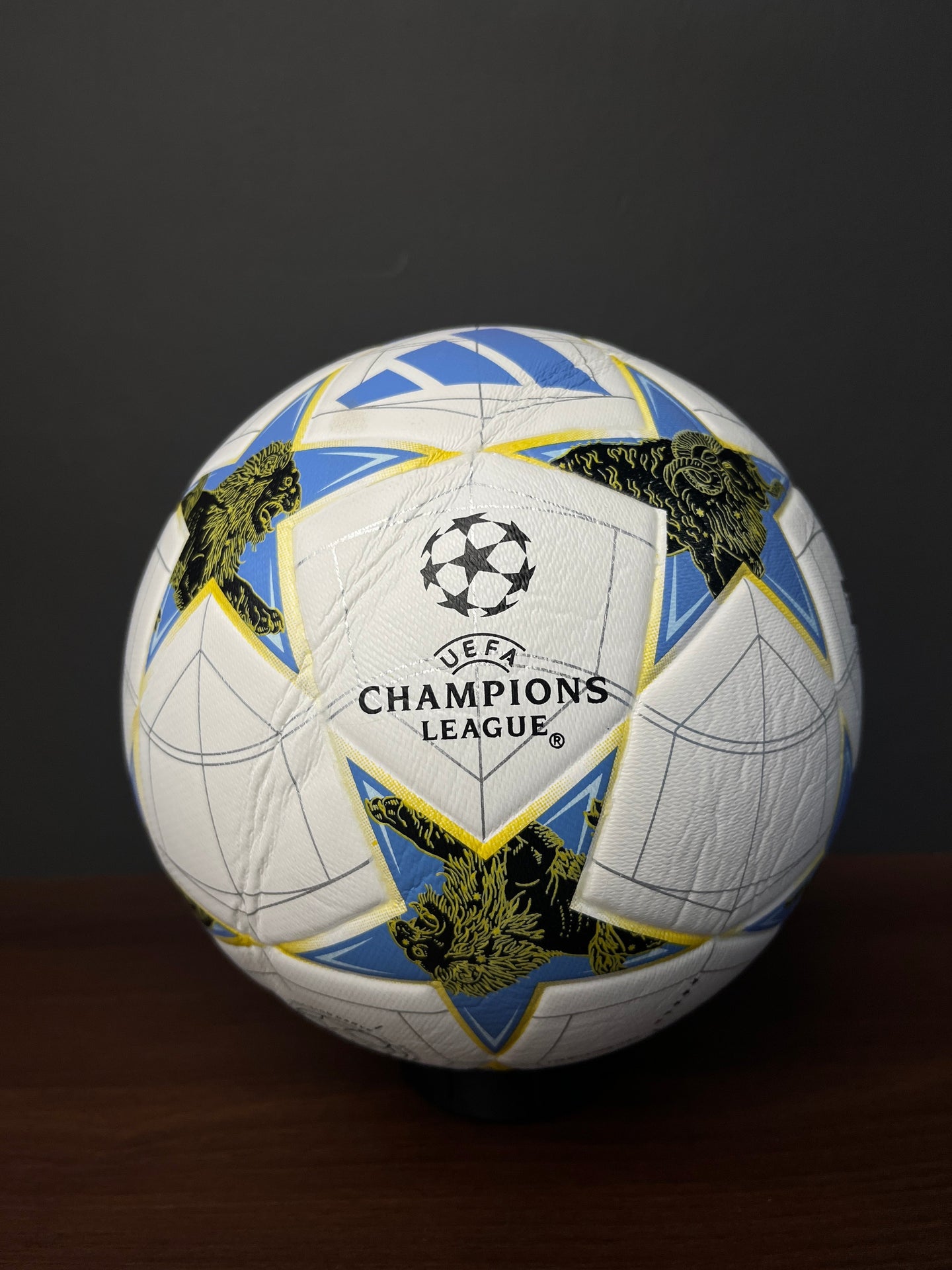 ADIDAS Champions League 25/26 Official Match Ball (Size 5)