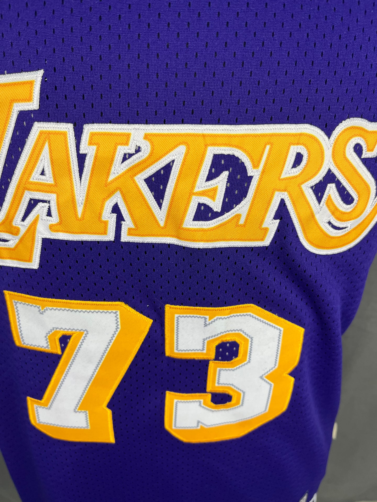Rodman 73 Lakers Purple NBA Jersey