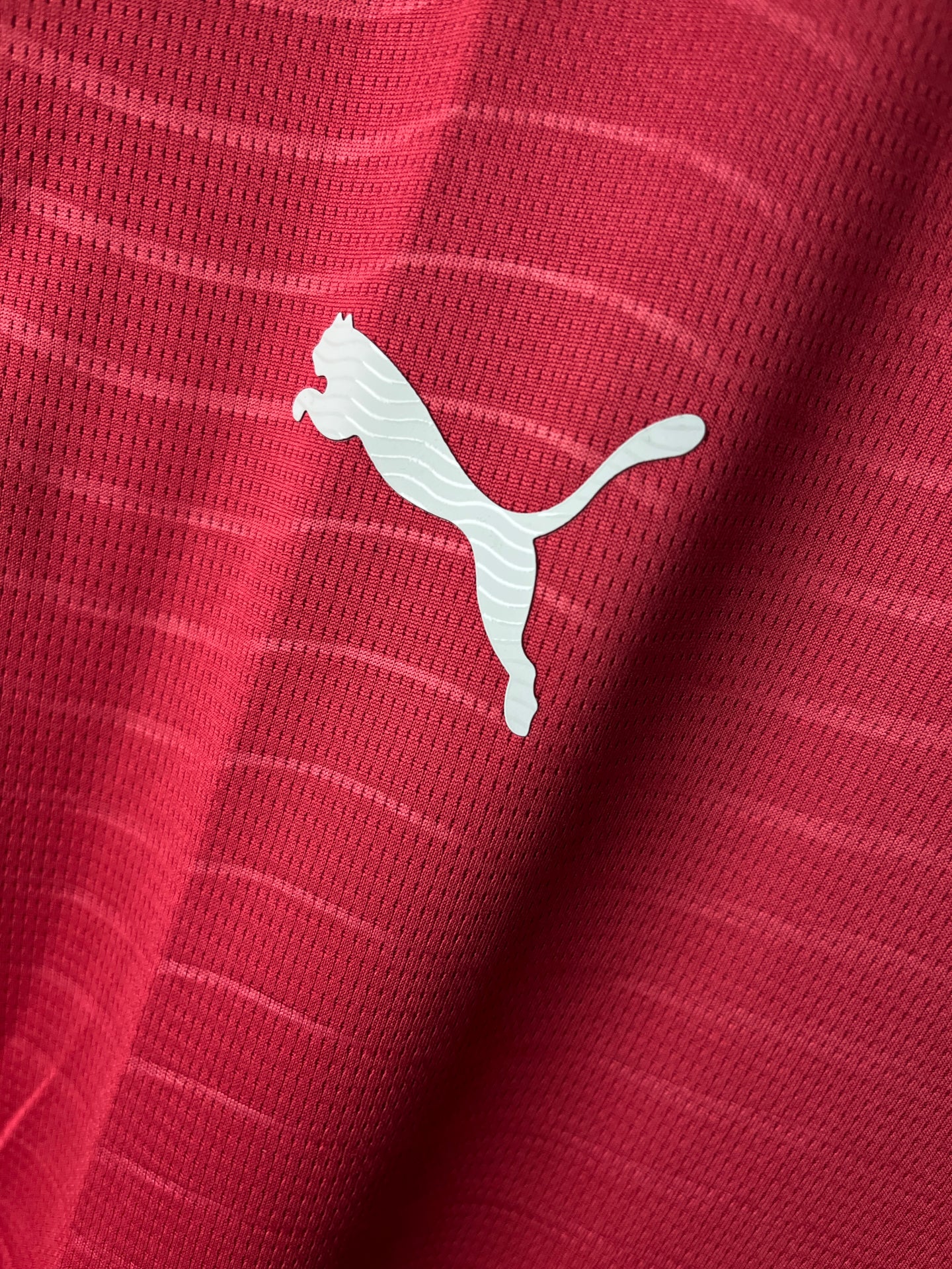 Portugal Home 2026 Fan Version