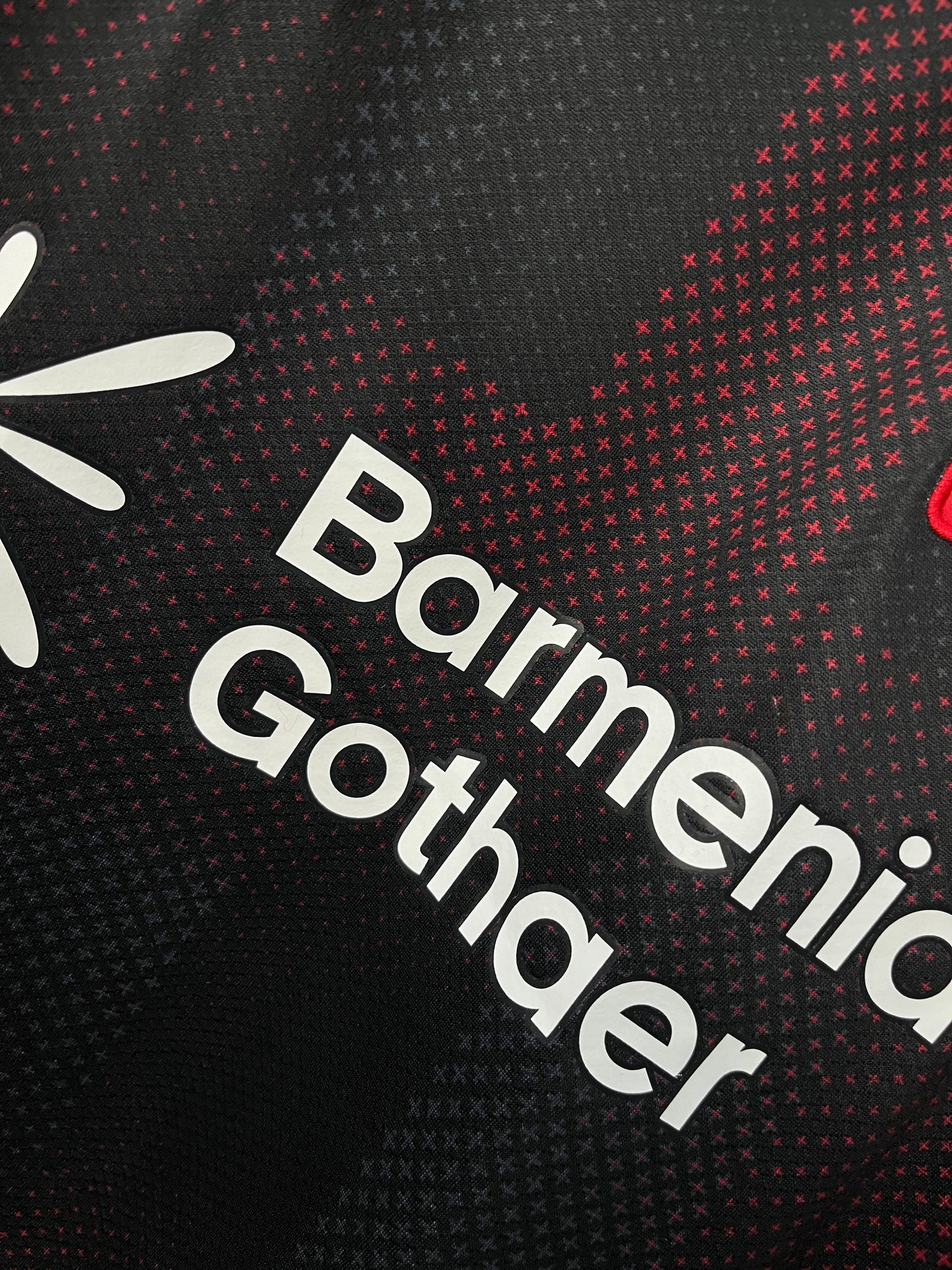 Bayer Leverkusen Home Jersey 25/26 Fan Version