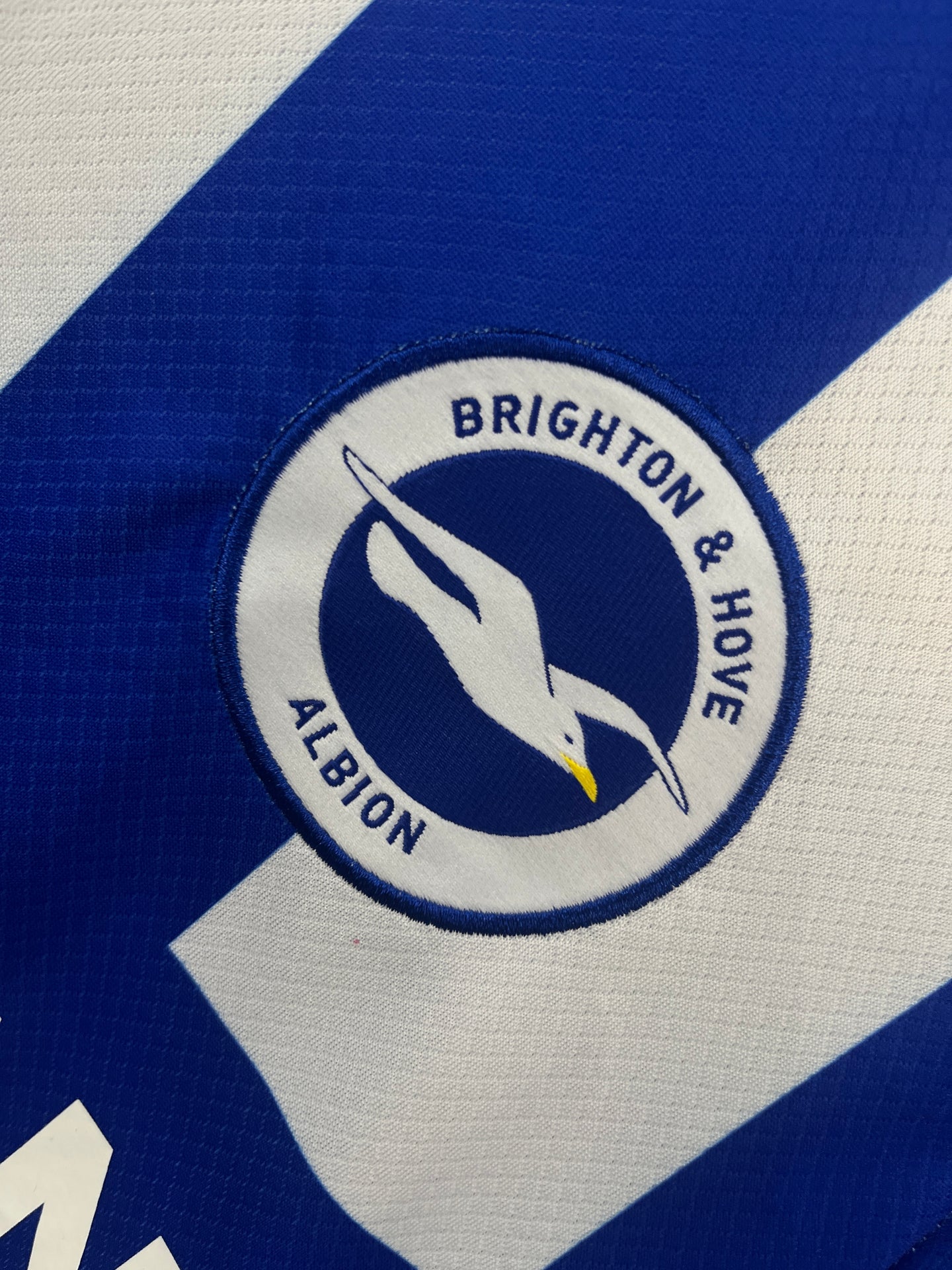 Brighton & Hove Albion 25/26 Home Jersey Fan Version