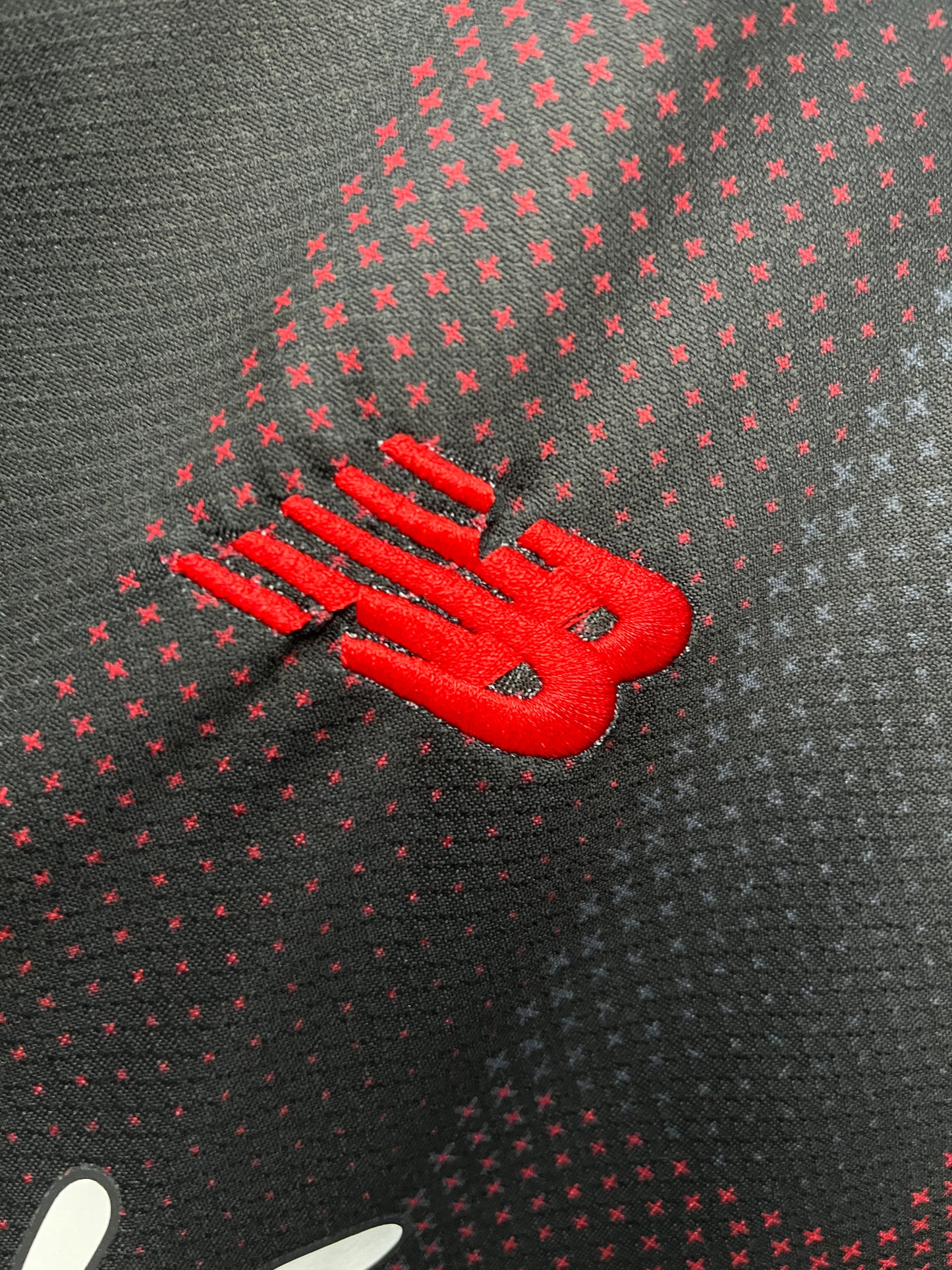 Bayer Leverkusen Home Jersey 25/26 Fan Version