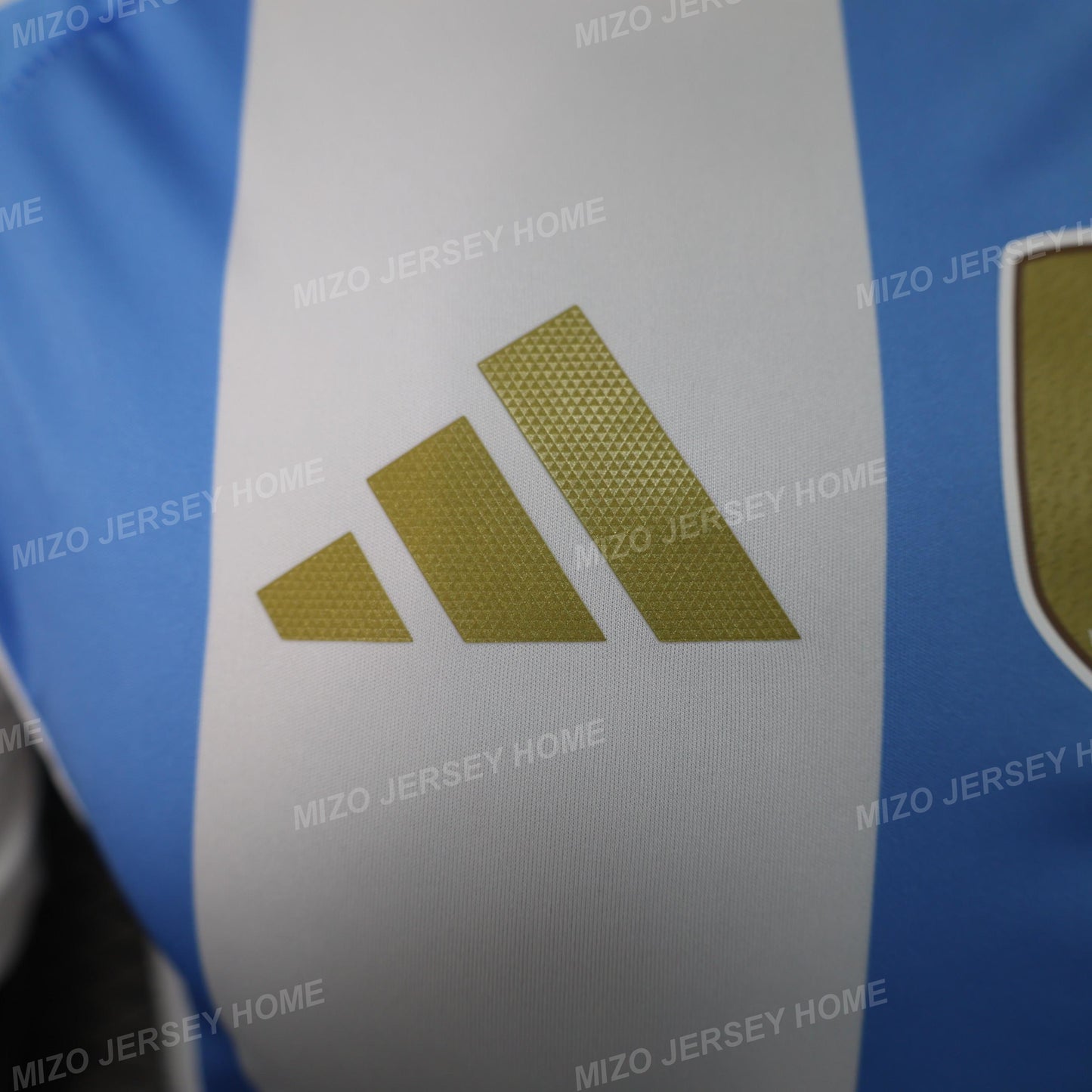 Argentina 2024 Home Jersey Player Version