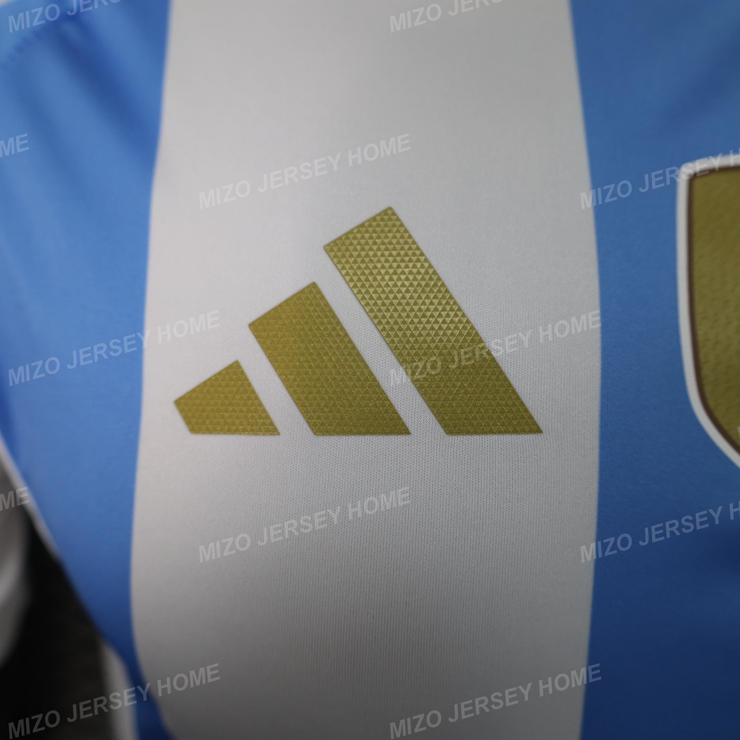 Argentina 2024 Home Jersey Player Version