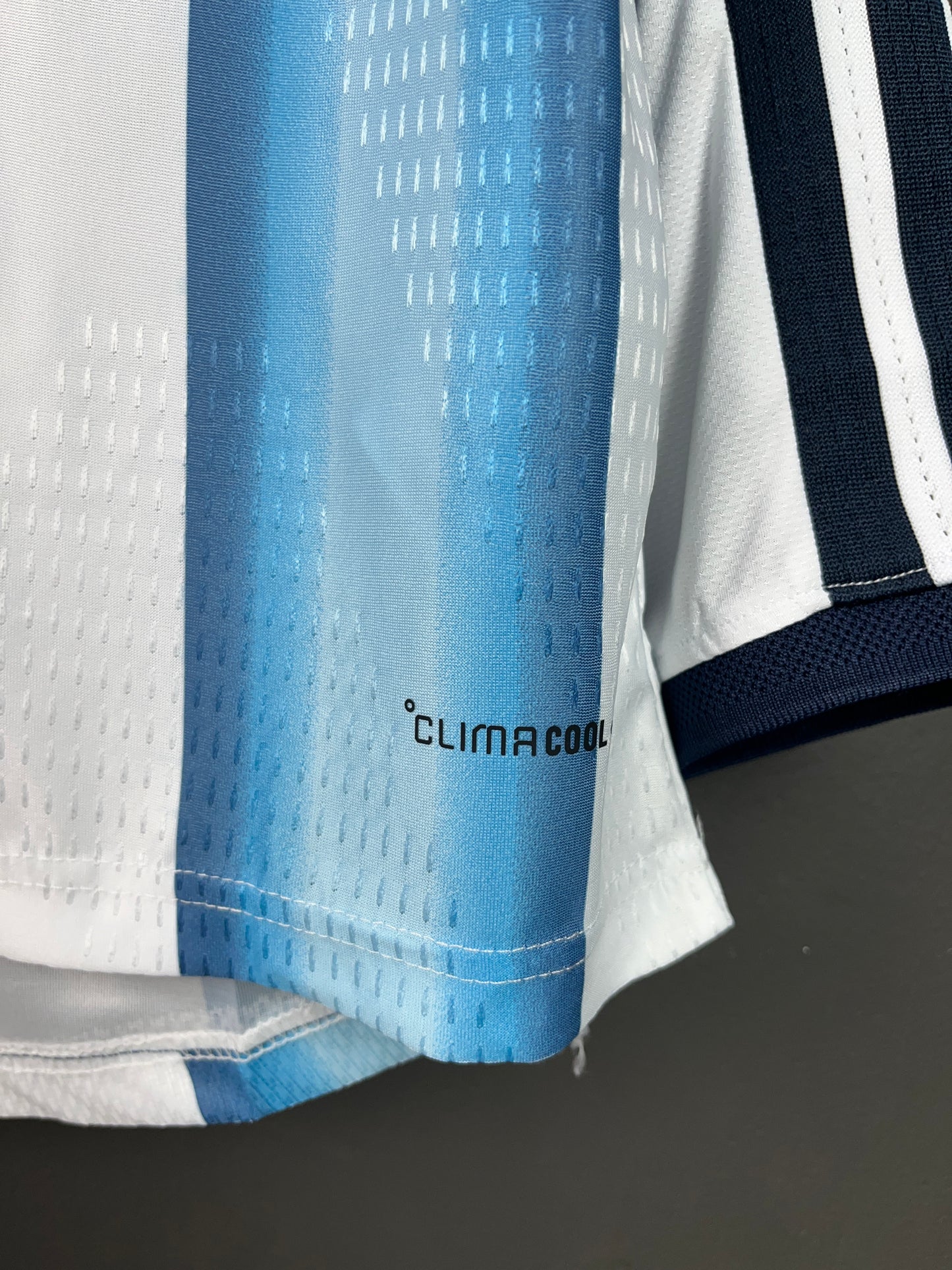Argentina Home 2026 Long Sleeves Player Version