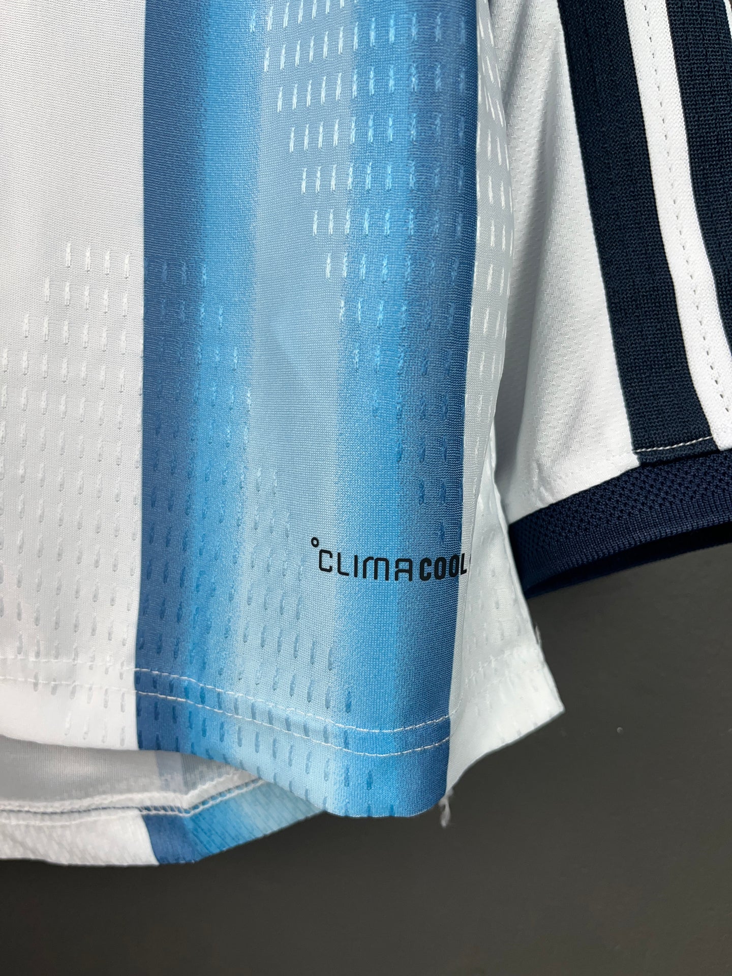 Argentina Home 2026 Long Sleeves Player Version