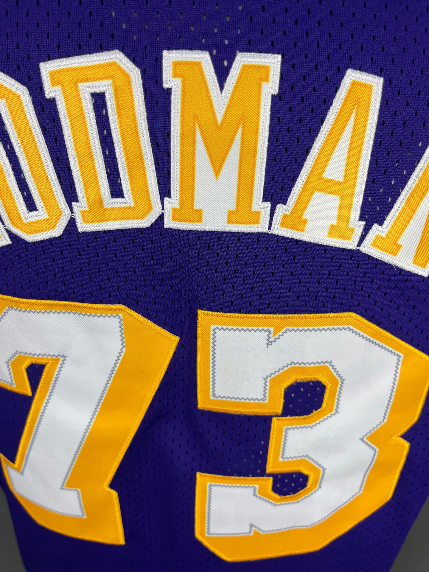 Rodman 73 Lakers Purple NBA Jersey