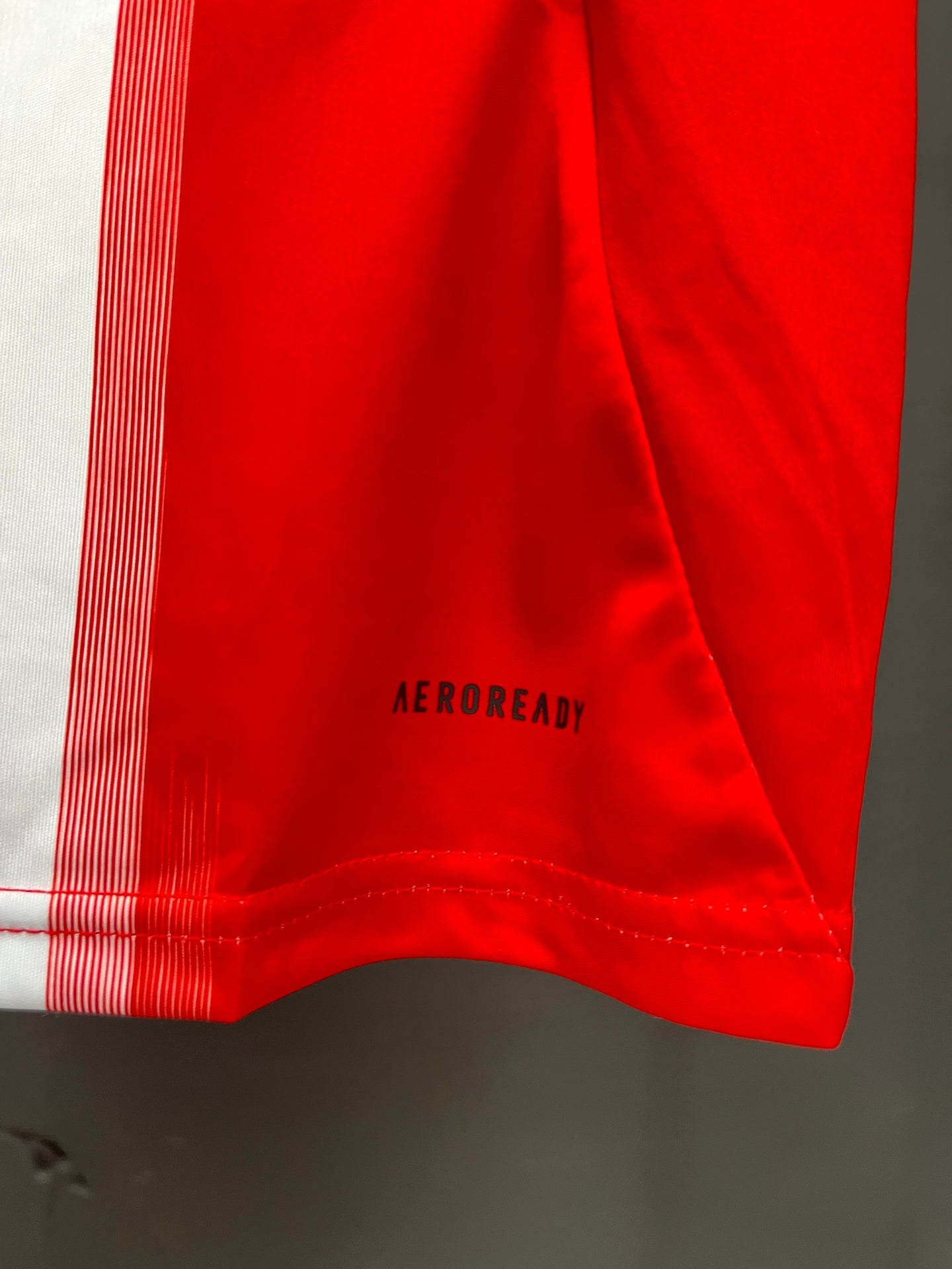 Bayern Munich Home Jersey 25/26 Fan Version