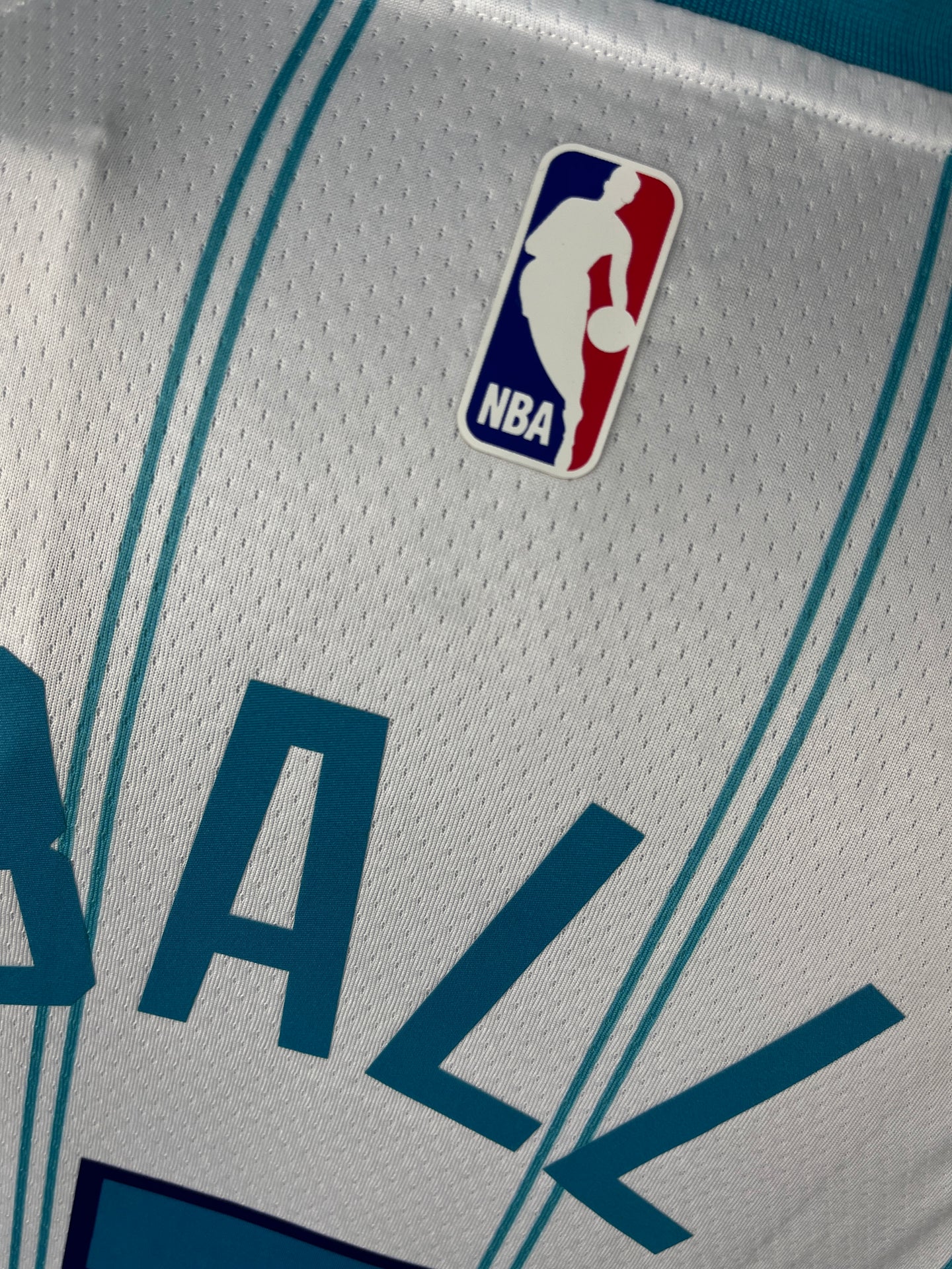 BALL 1 White Charlotte Hornets Heat Pressed Edition NBA Jersey