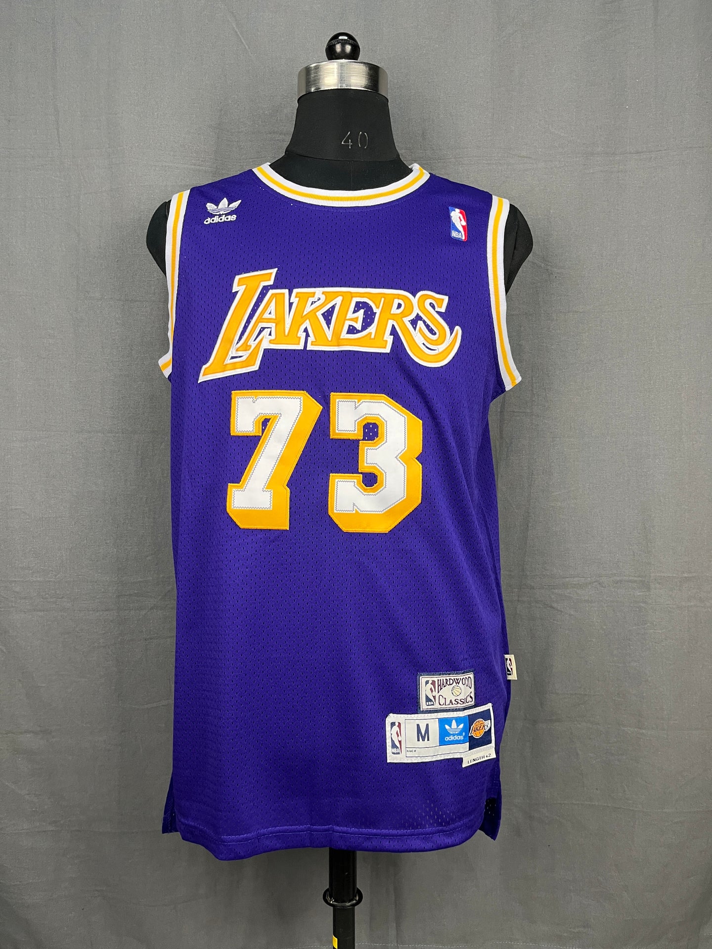 Rodman 73 Lakers Purple NBA Jersey