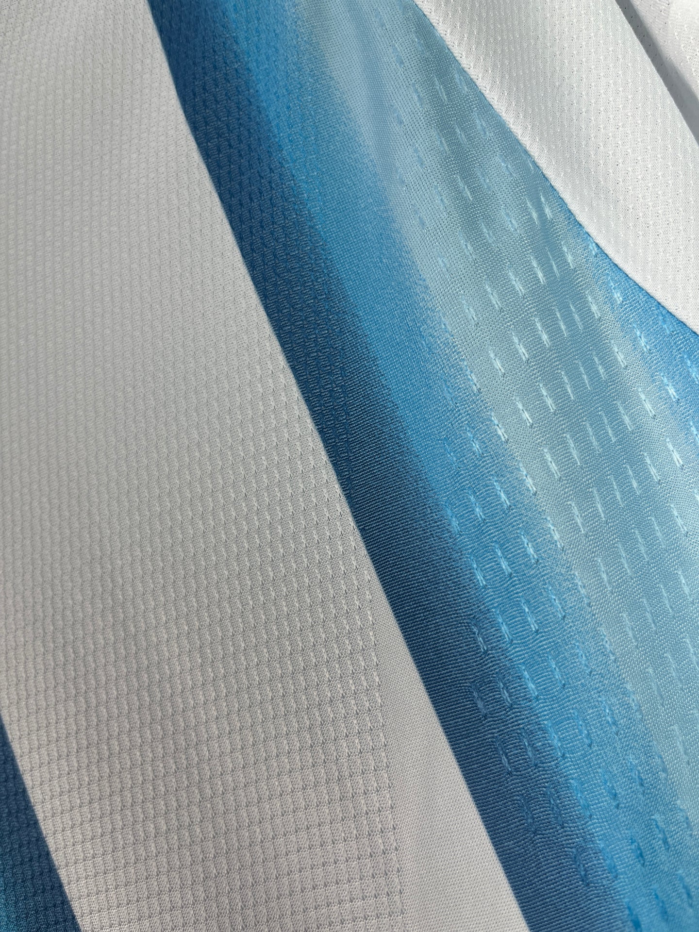 Argentina Home 2026 Long Sleeves Player Version