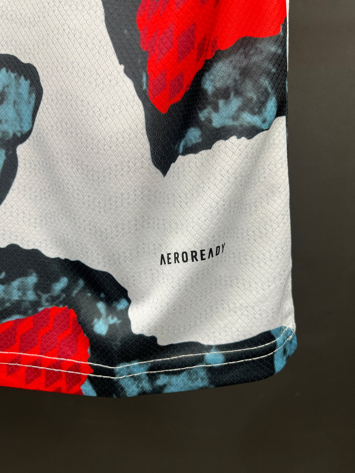 Bayern Munich Pre-Match 24-25 Fan Version