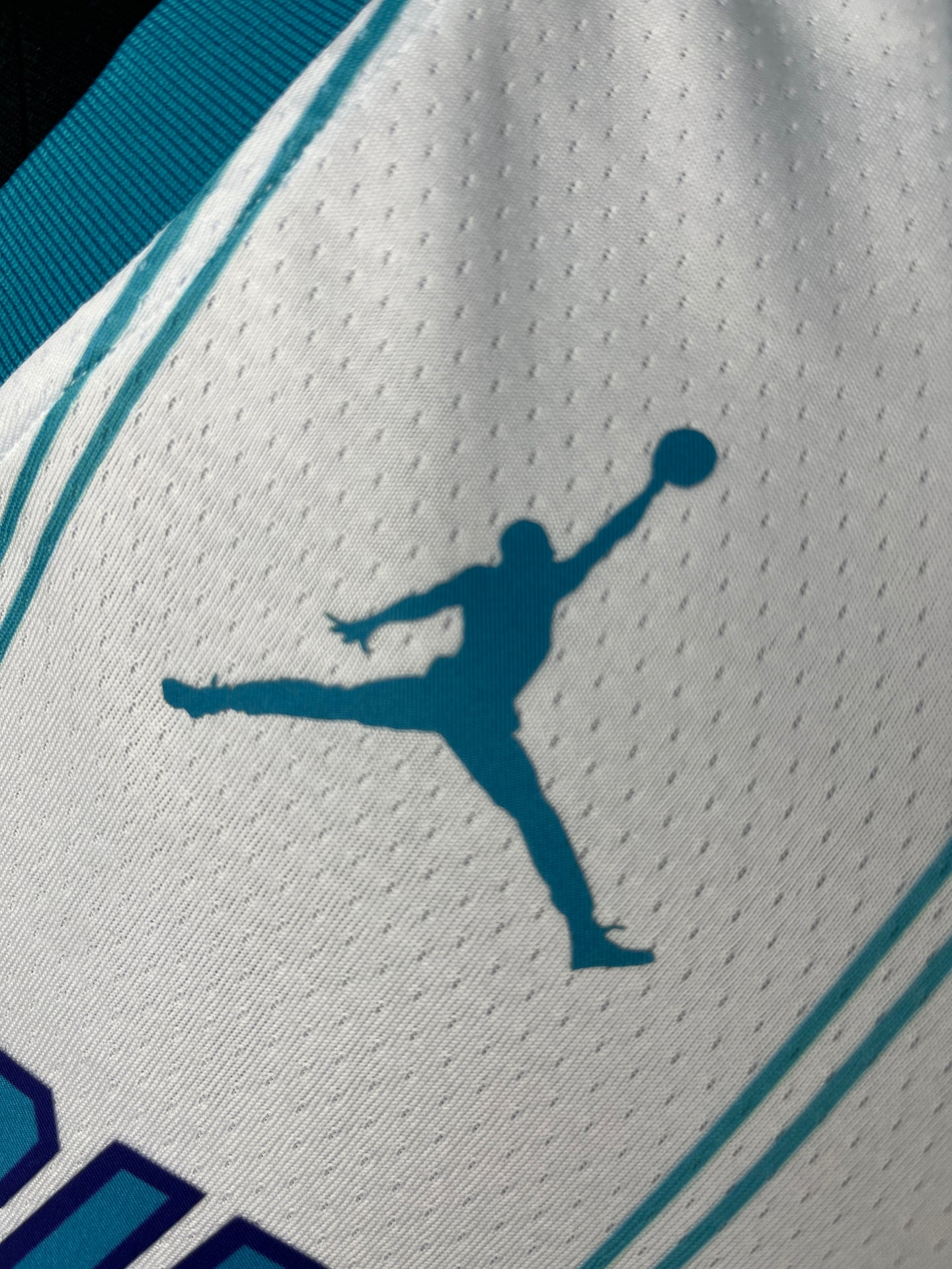 BALL 1 White Charlotte Hornets Heat Pressed Edition NBA Jersey