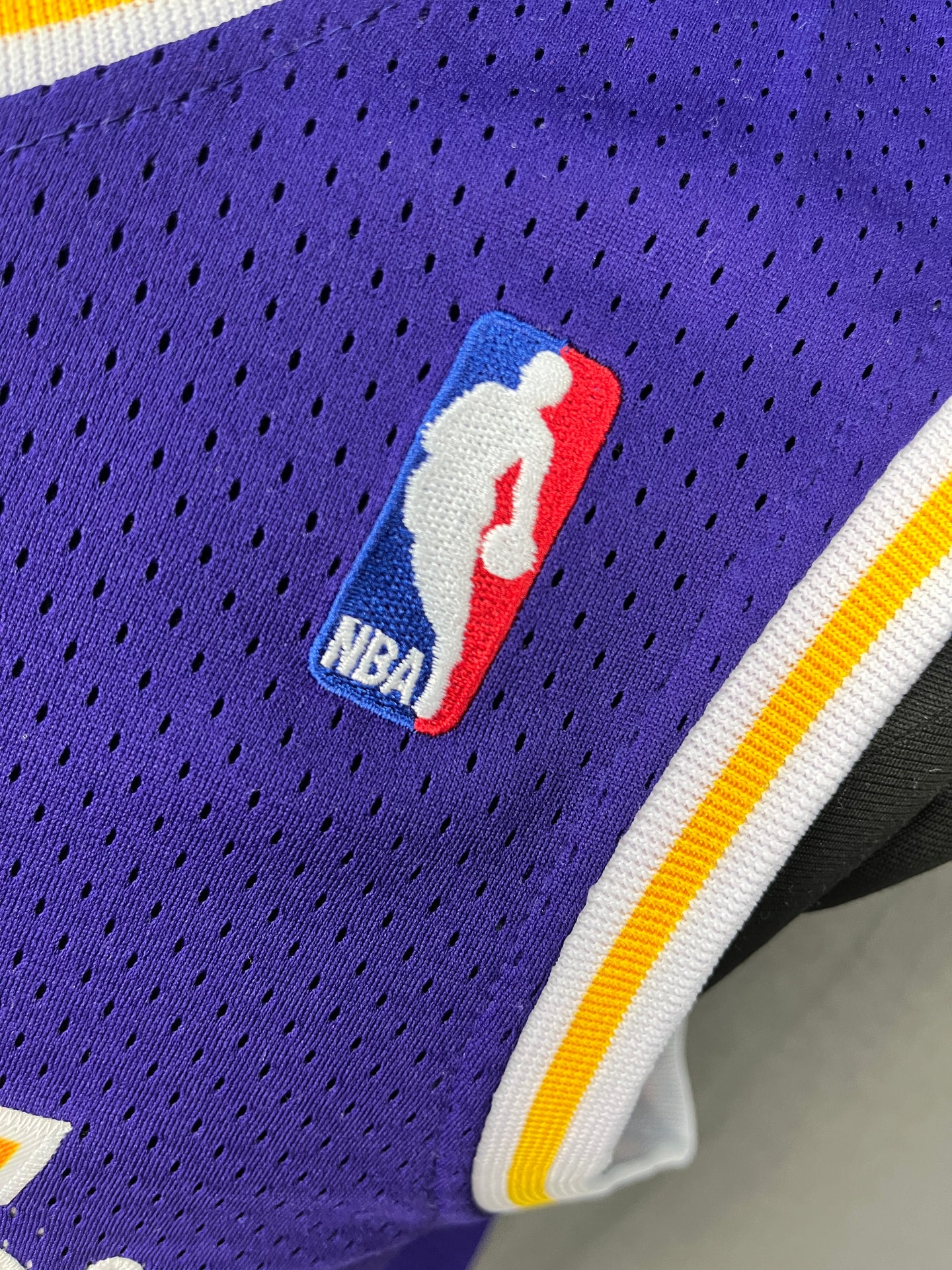 Rodman 73 Lakers Purple NBA Jersey