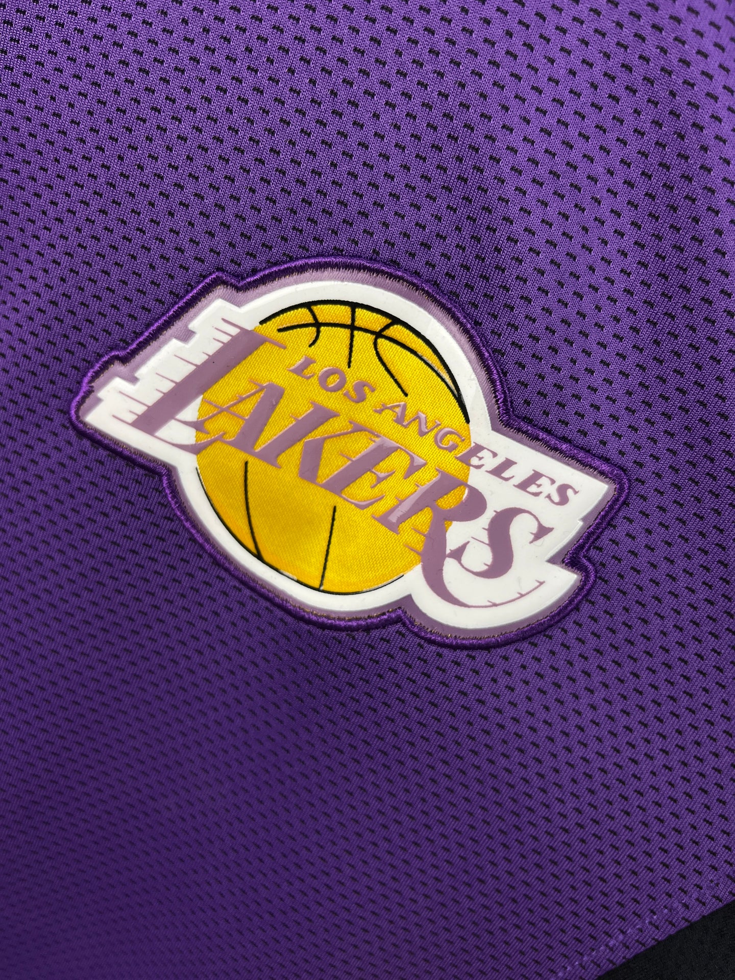 Los Angeles Lakers Purple NBA Hoodie