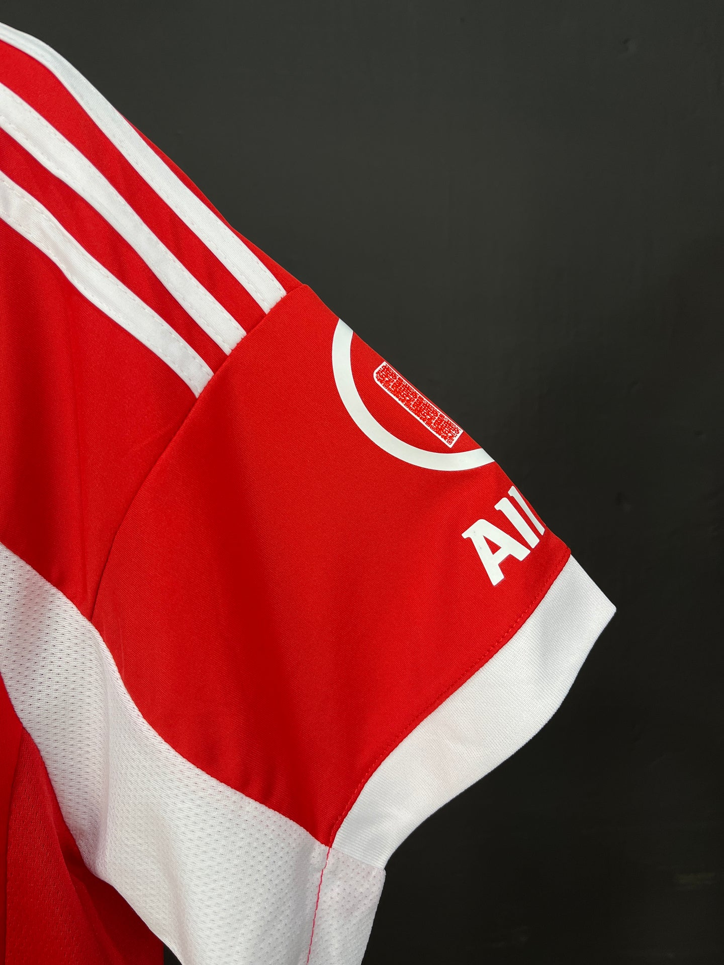 Bayern Munich Home Jersey 25/26 Fan Version