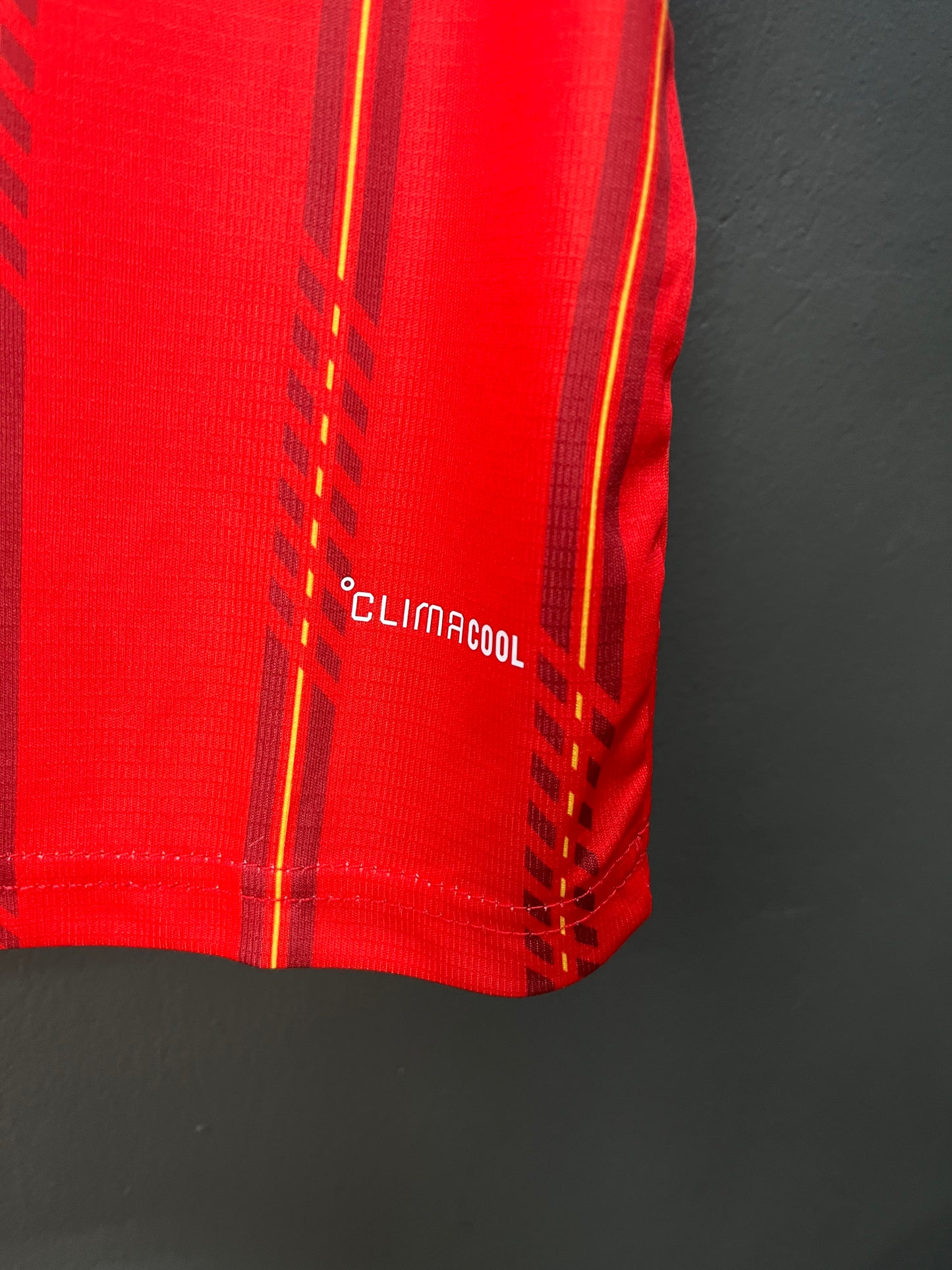 Spain Home 2026 Fan Version